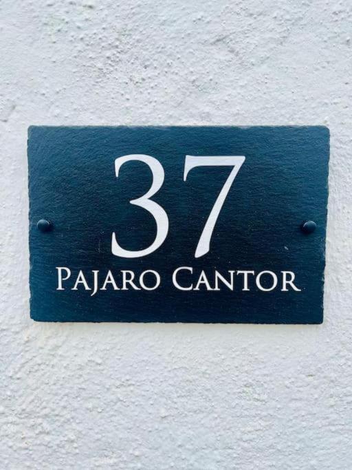 Pájaro Cantor Hoyo 16