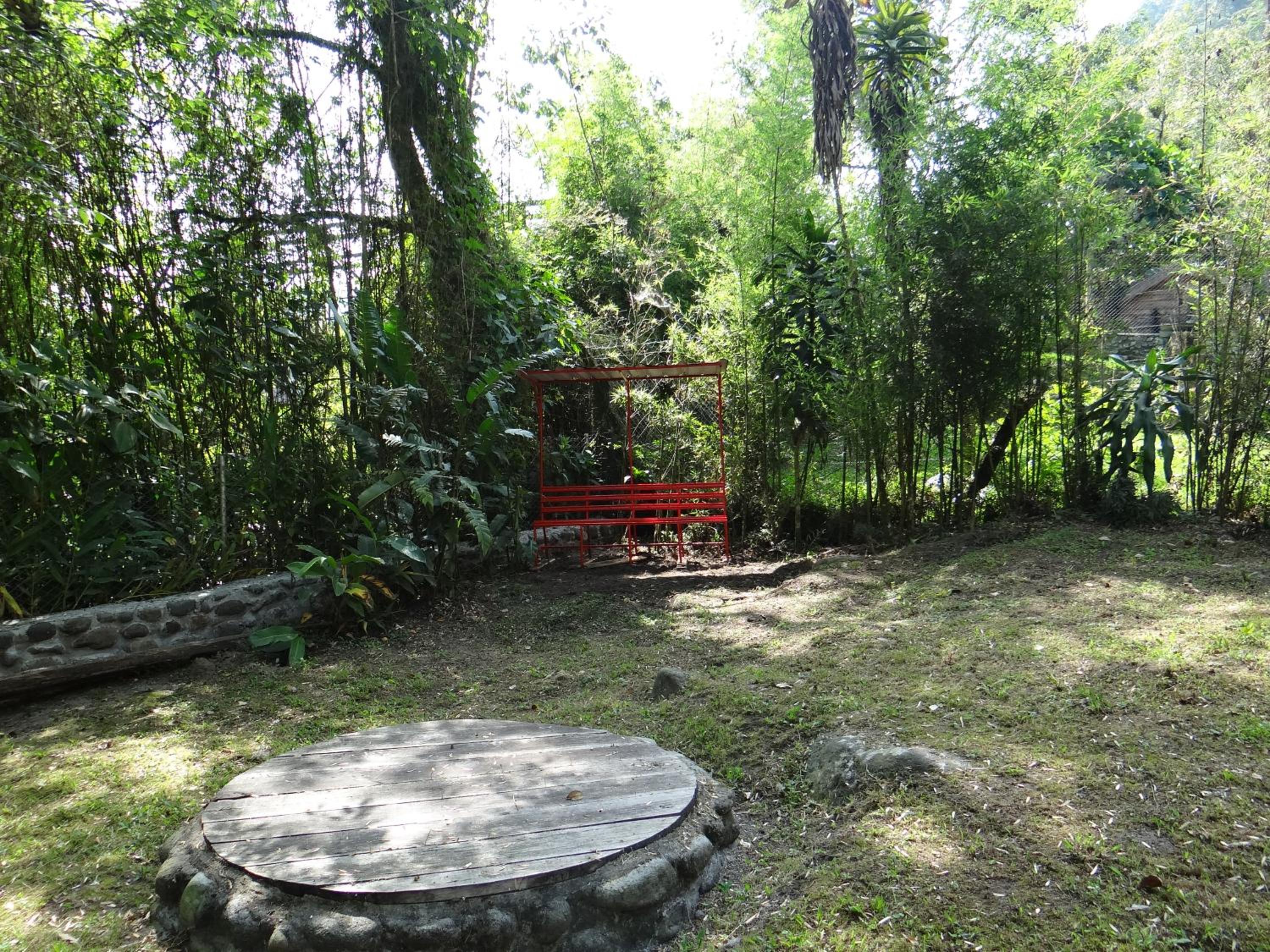 Photo 41