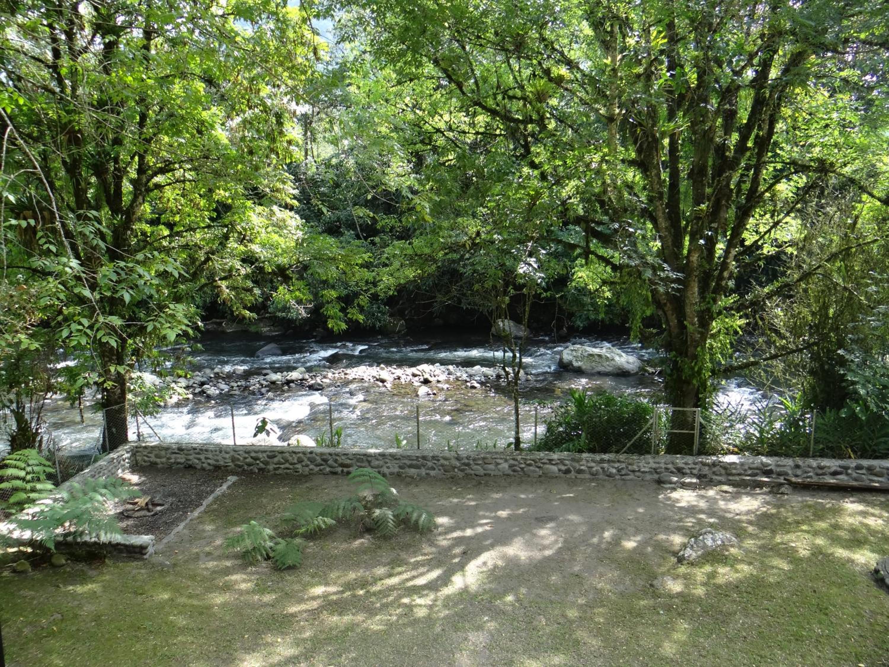 Photo 29