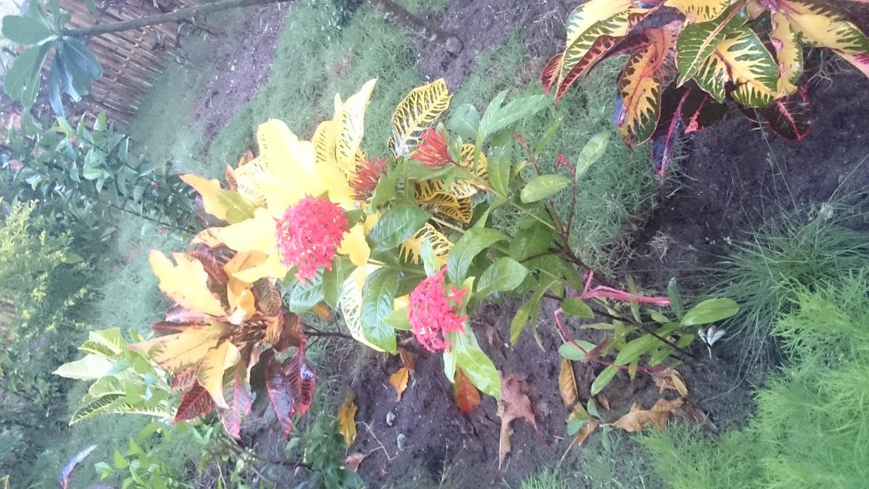 Photo 35