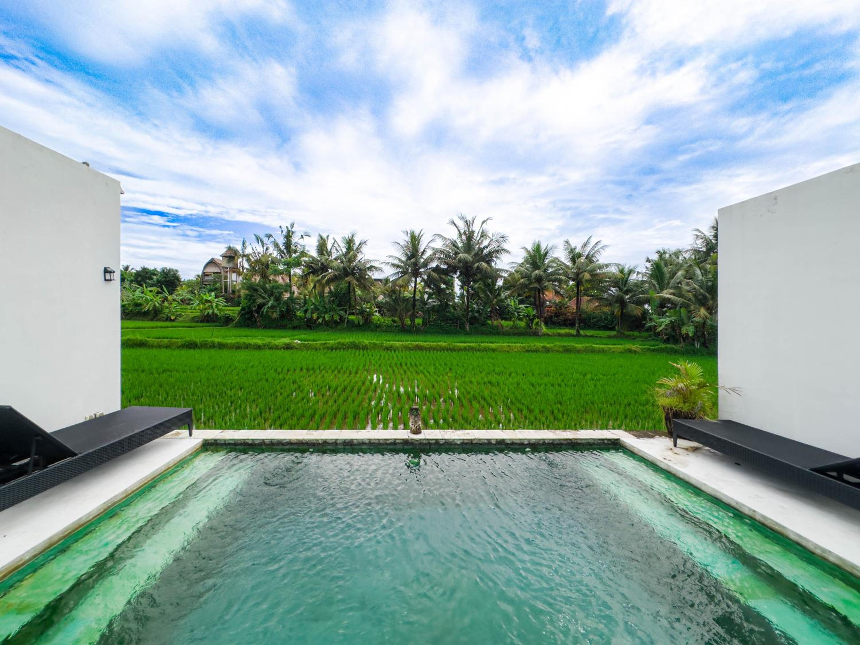 White Cubes Villas