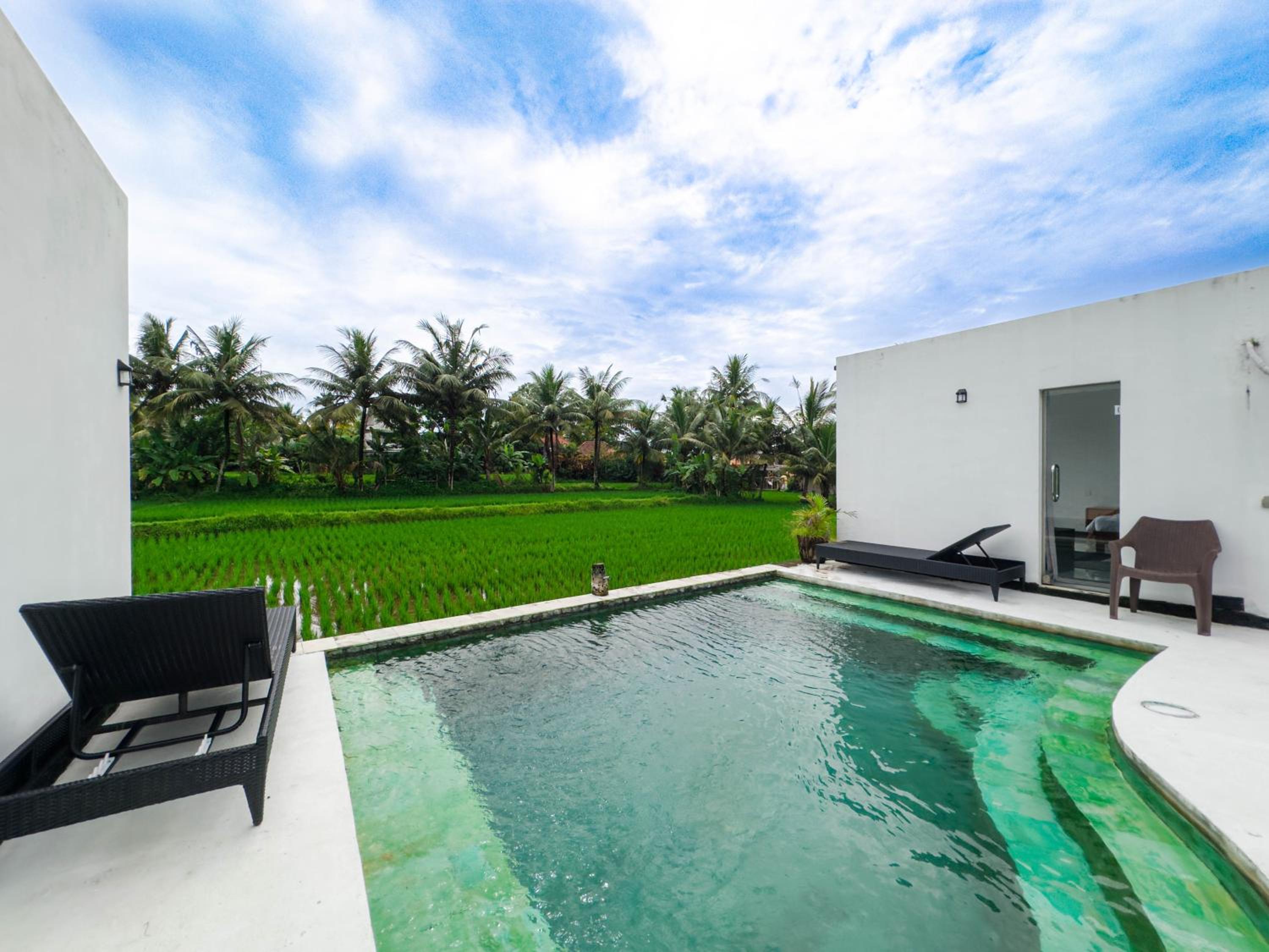 White Cubes Villas