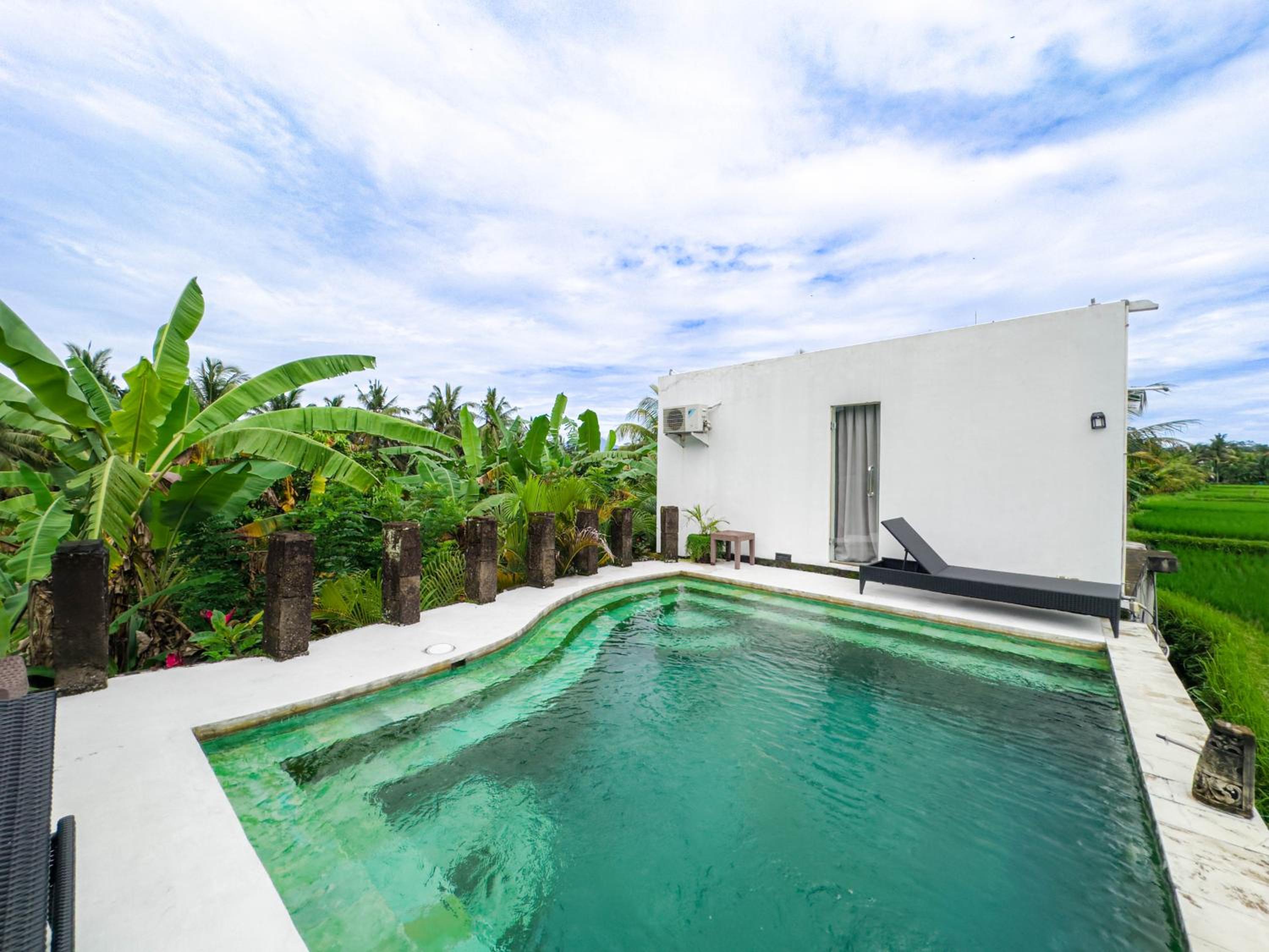 White Cubes Villas