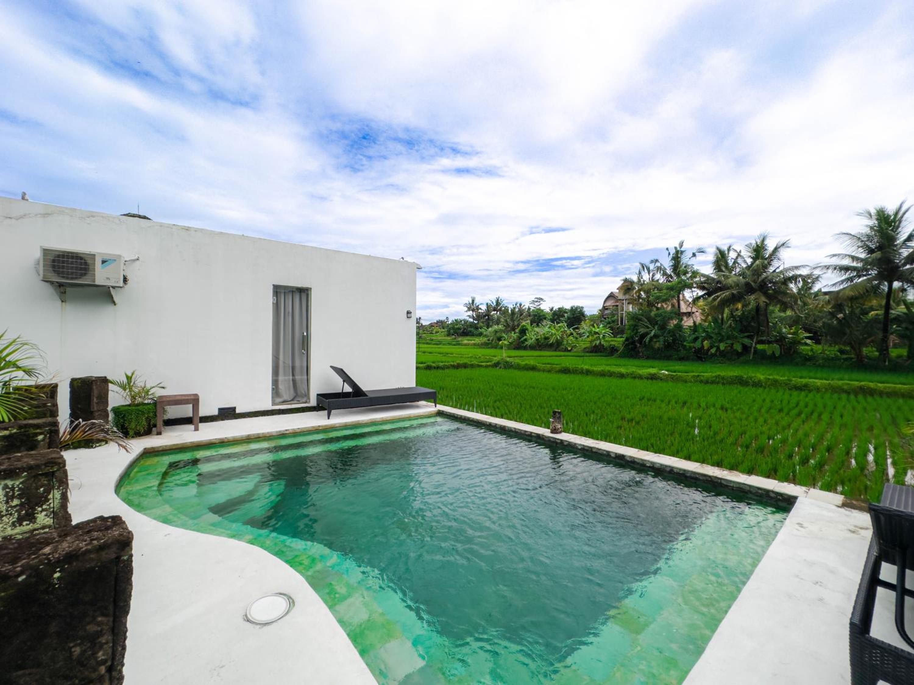 White Cubes Villas