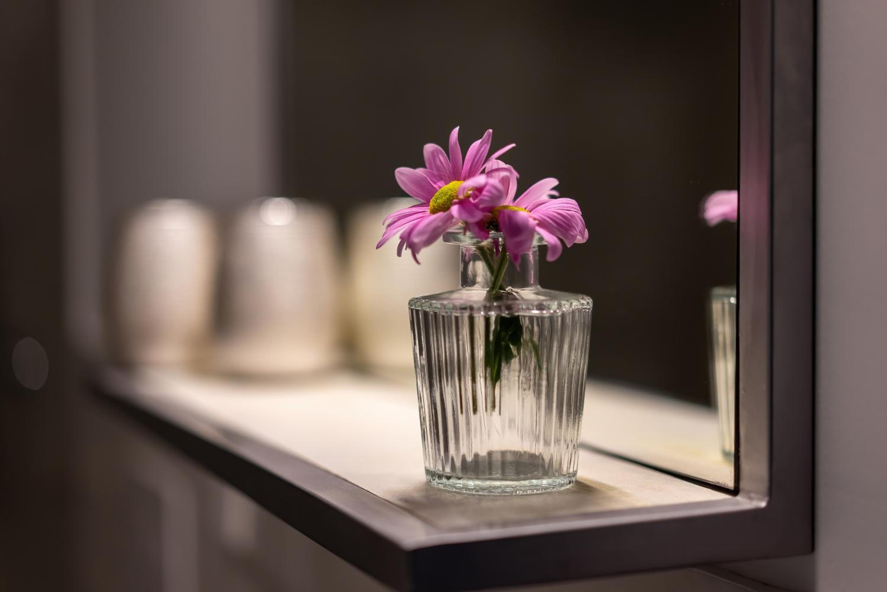 ANER 4 Design Apartment Zoe