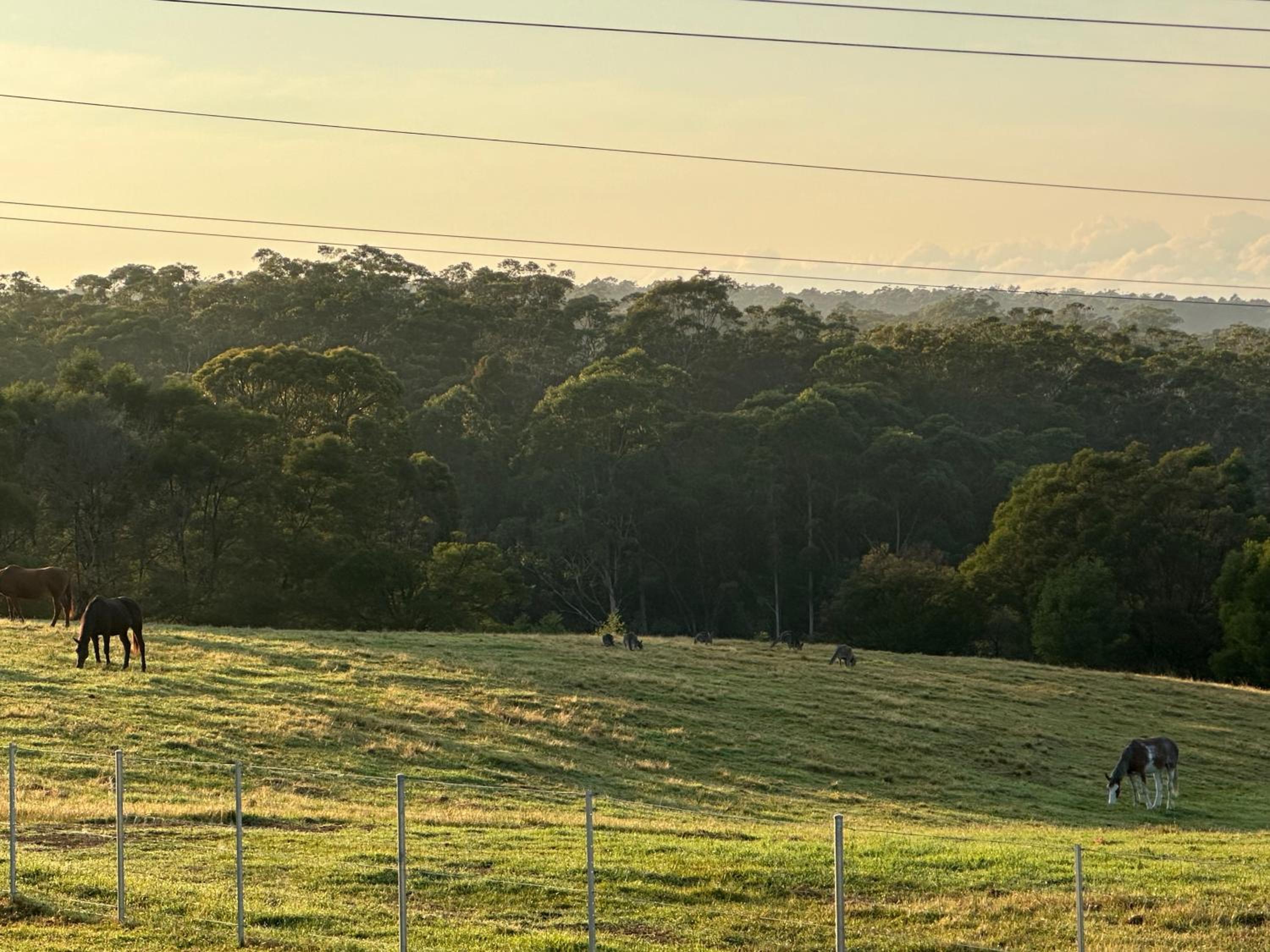 Farm Stay, Mariton Farm
