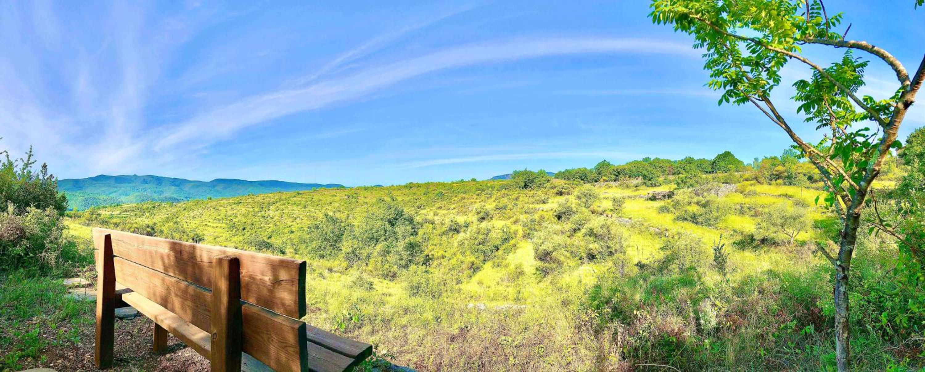 Wild Boar Mountain, Luxury Escape & Stunning Views!, photo 44