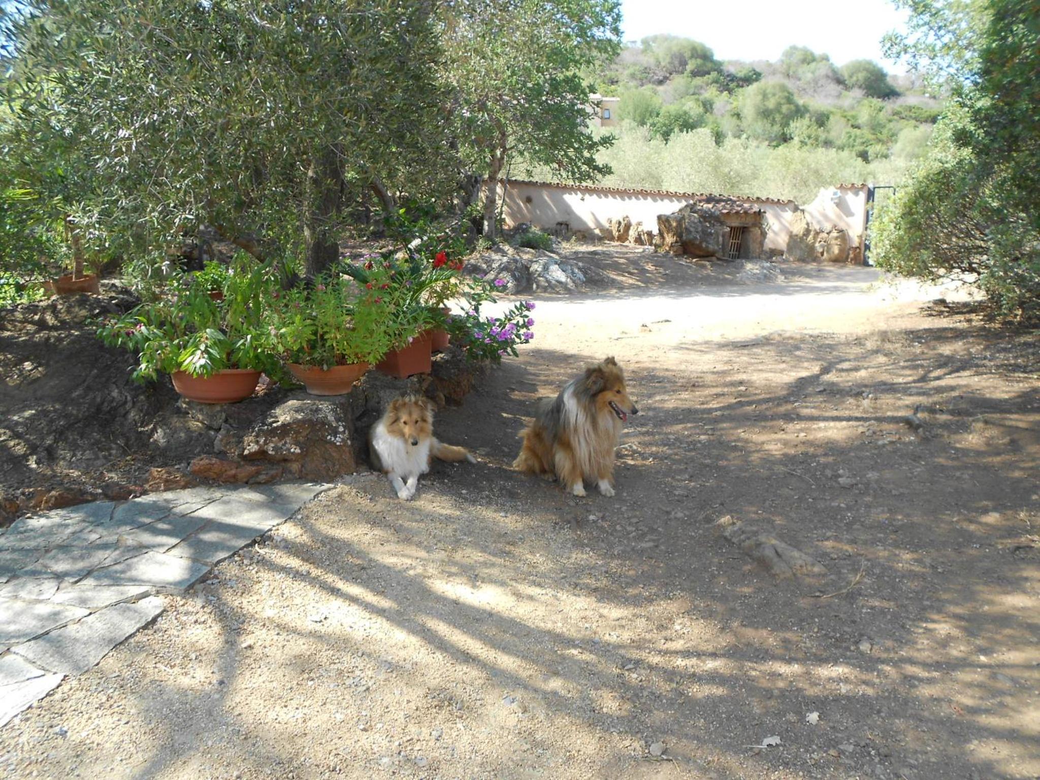Photo 22