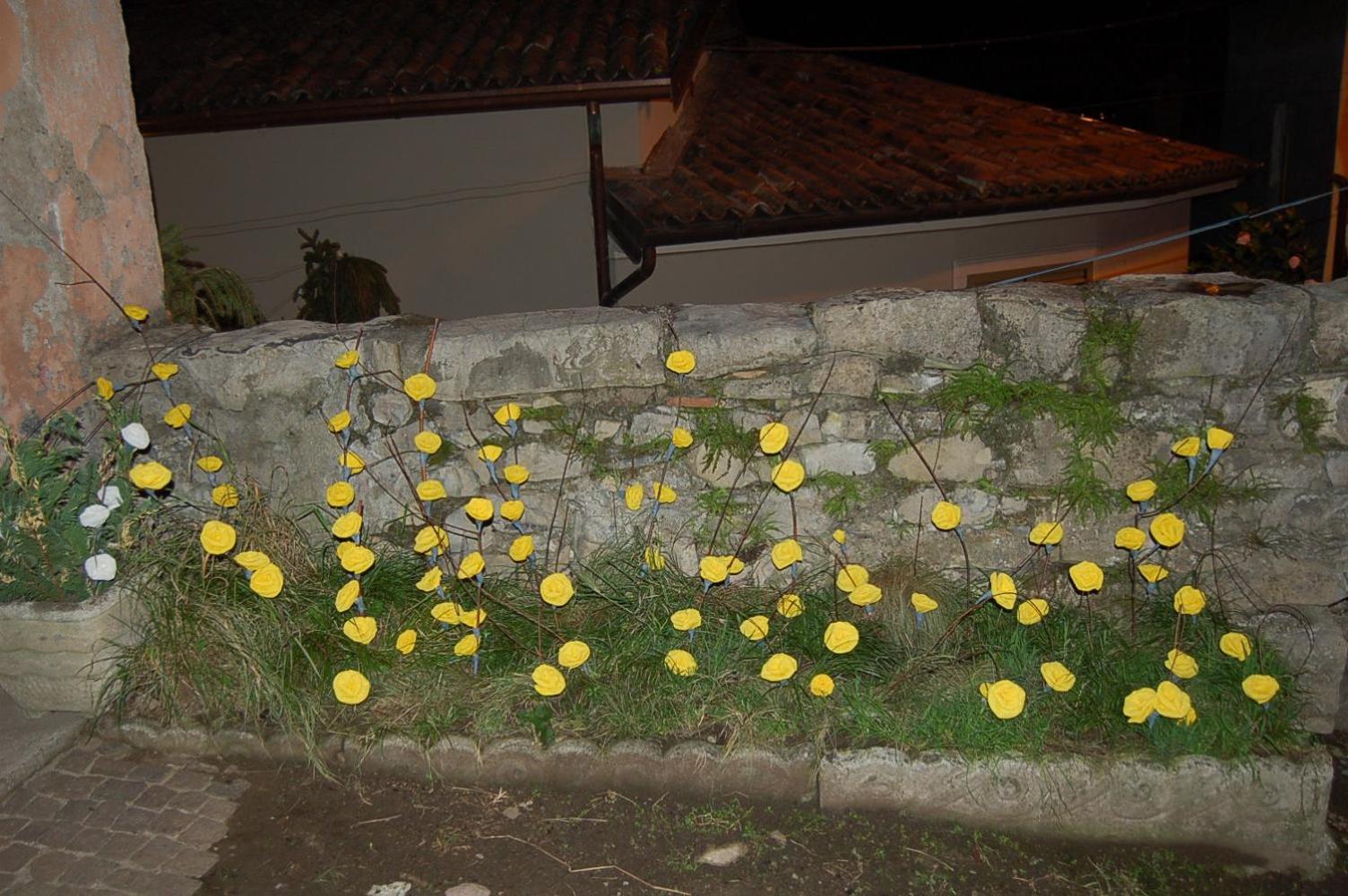 Photo 44