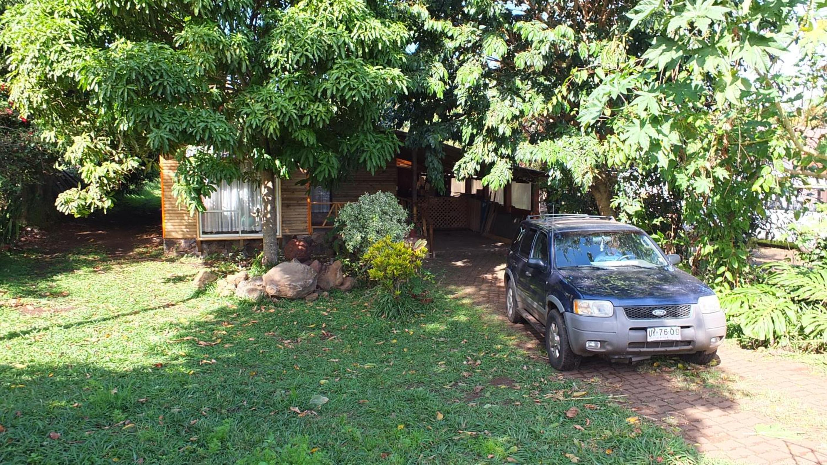 Photo 53
