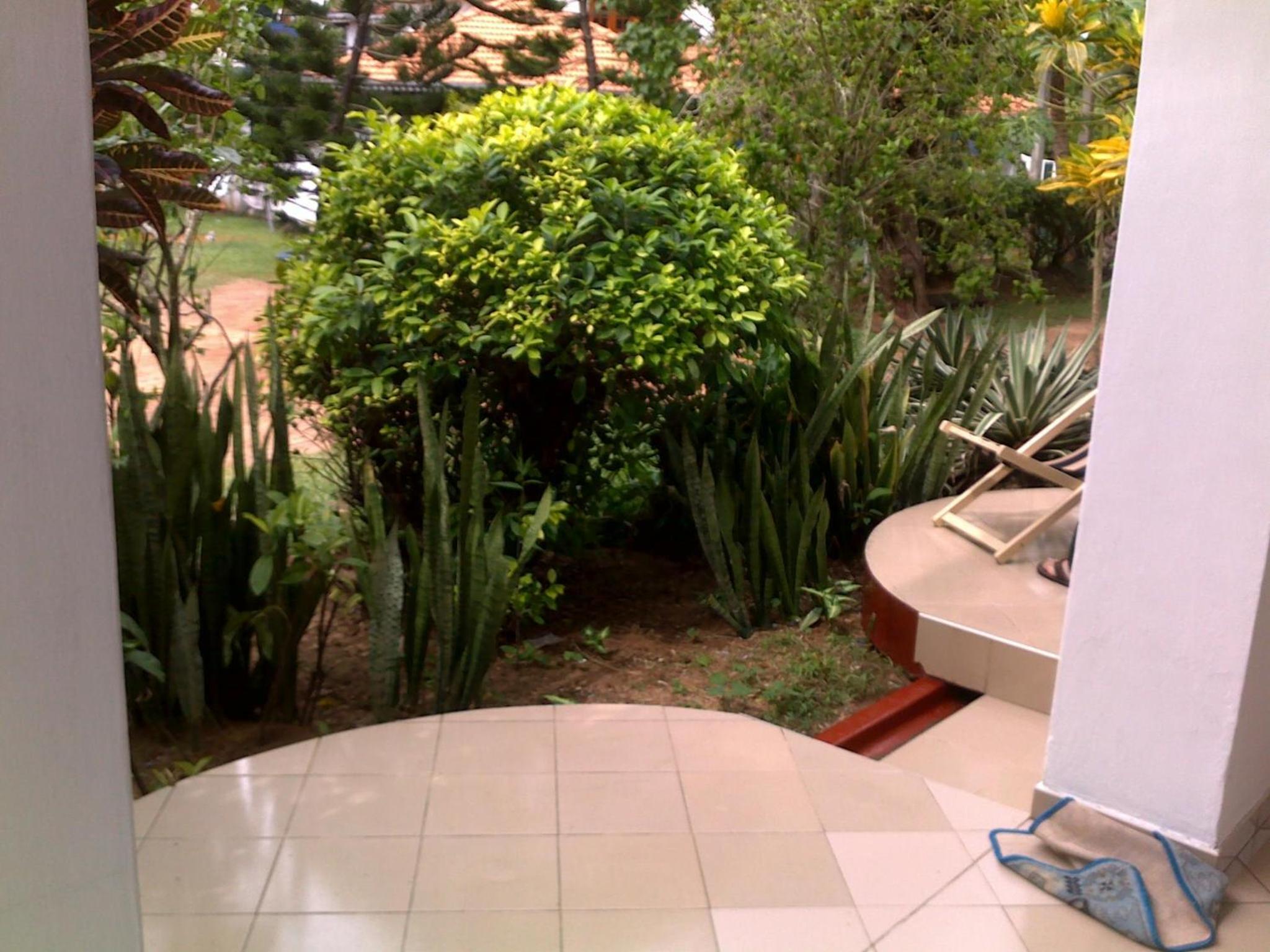 Photo 20