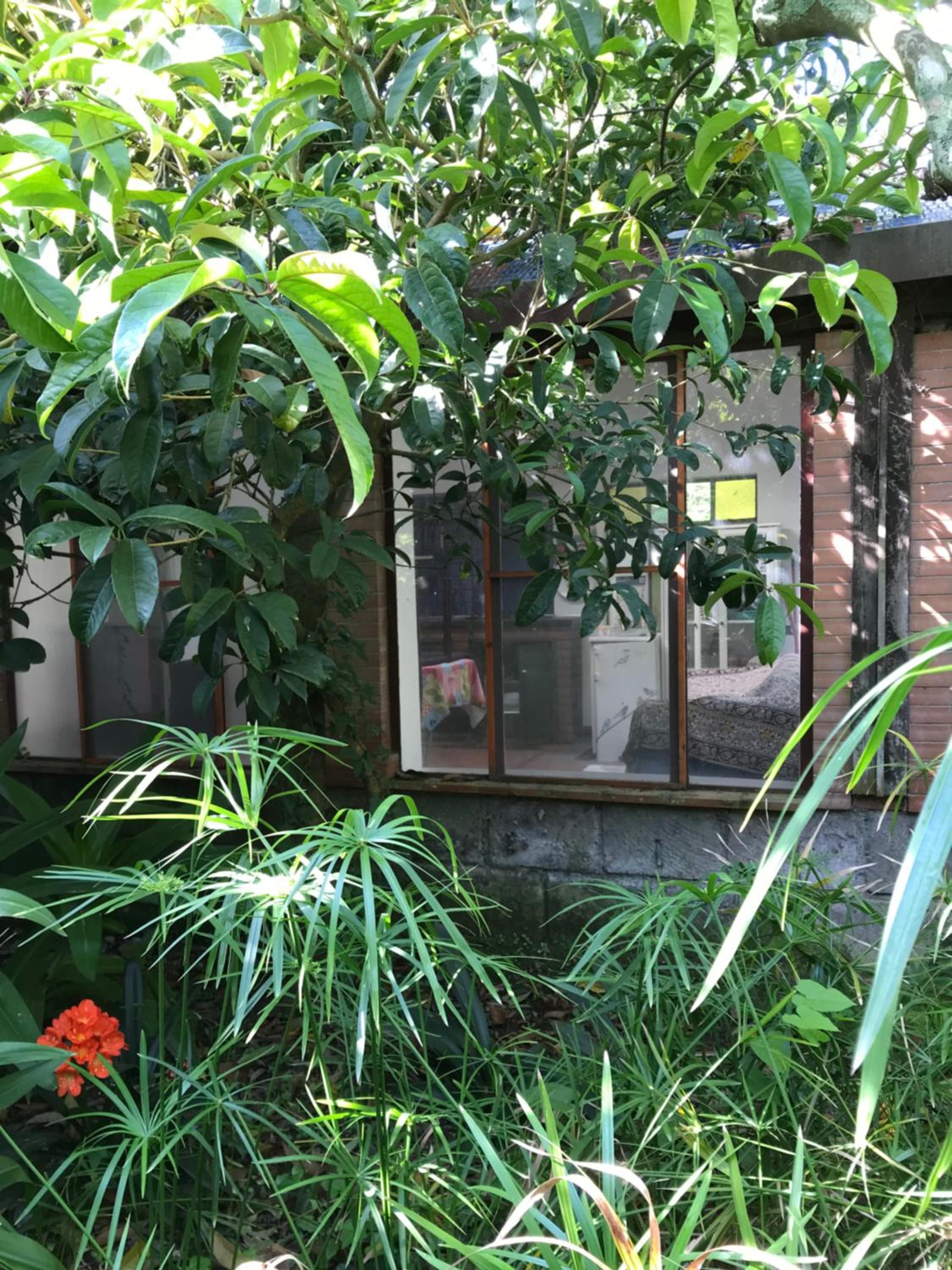 Photo 22