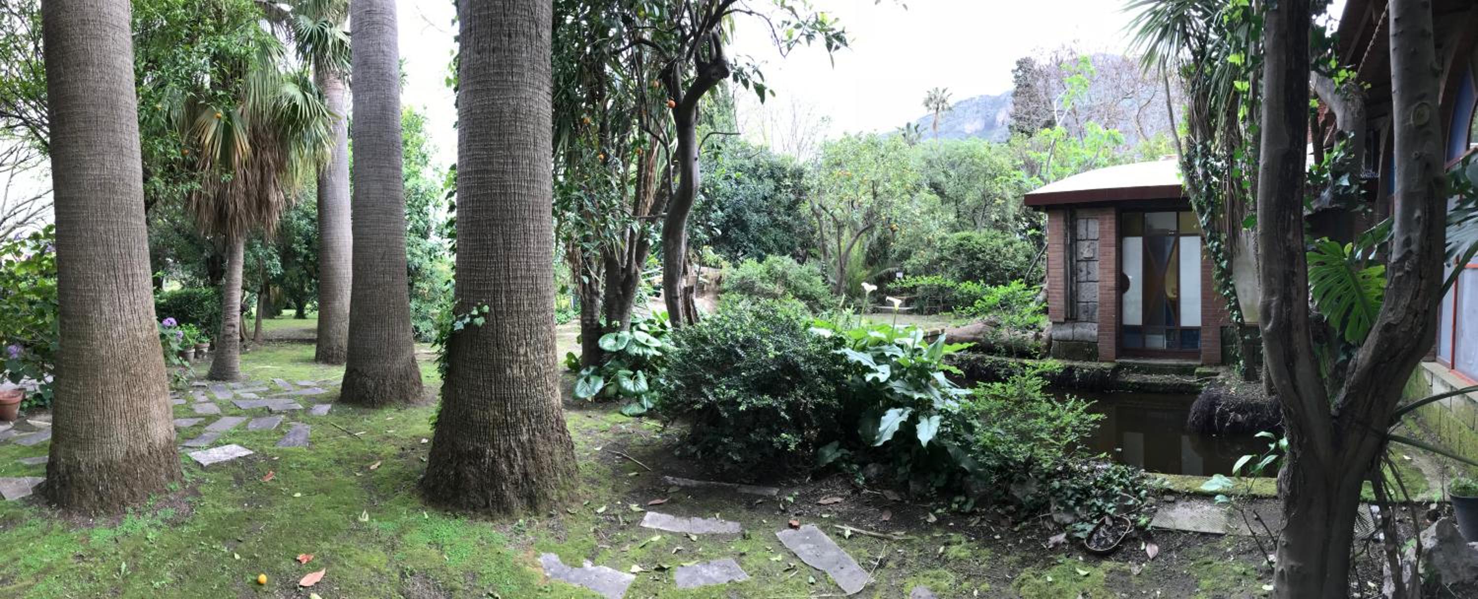 Photo 10