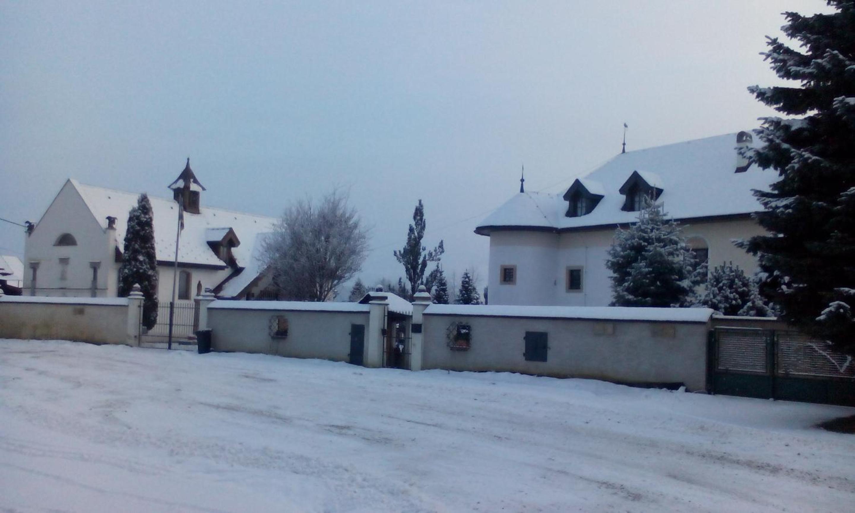 Photo 12