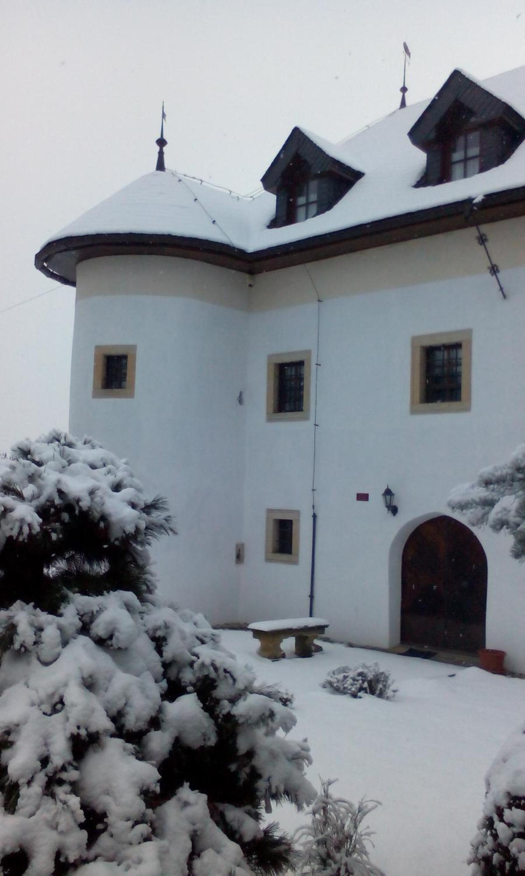 Photo 11