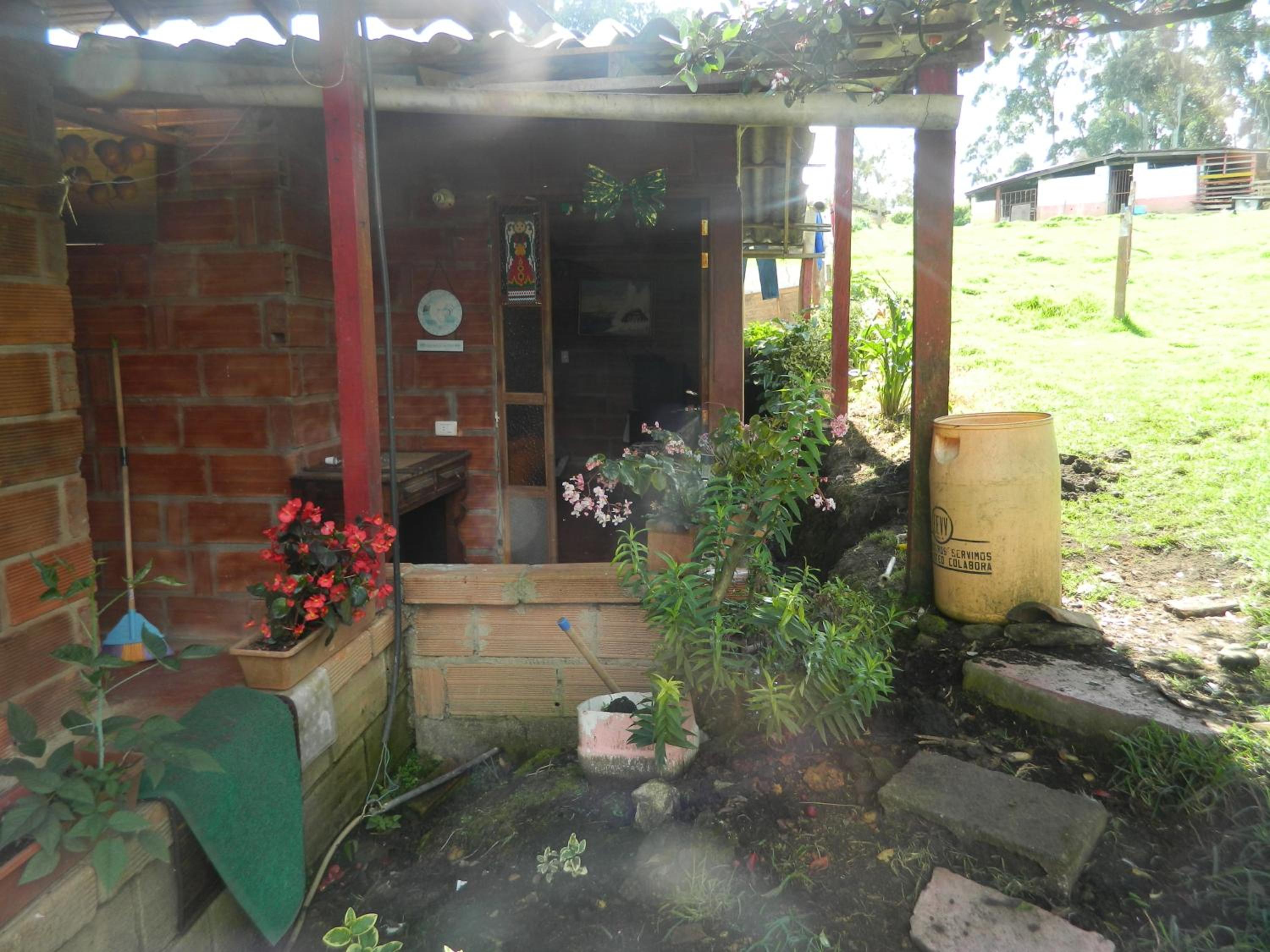 Photo 21