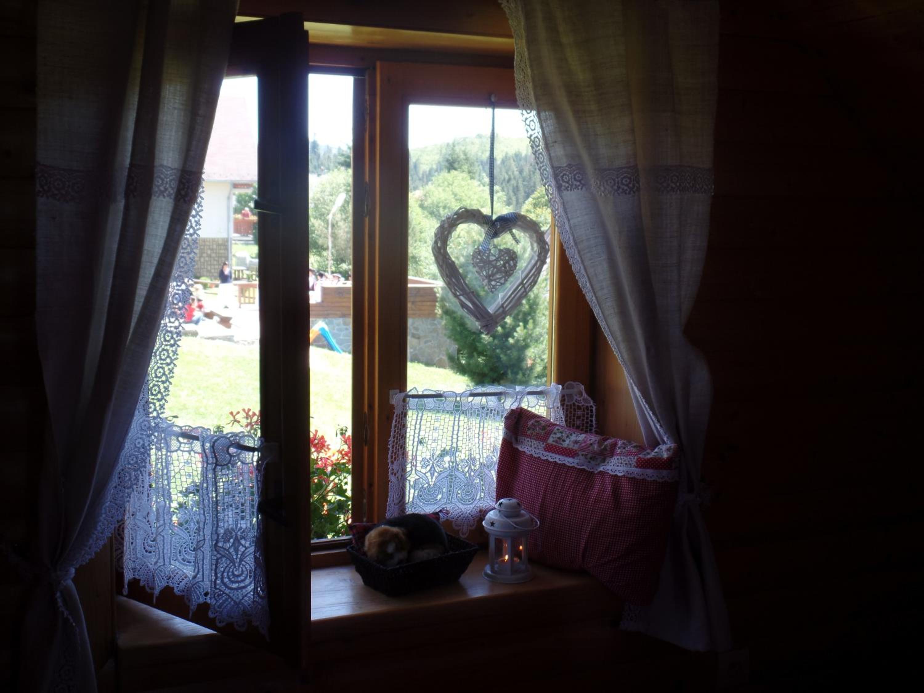 Photo 42