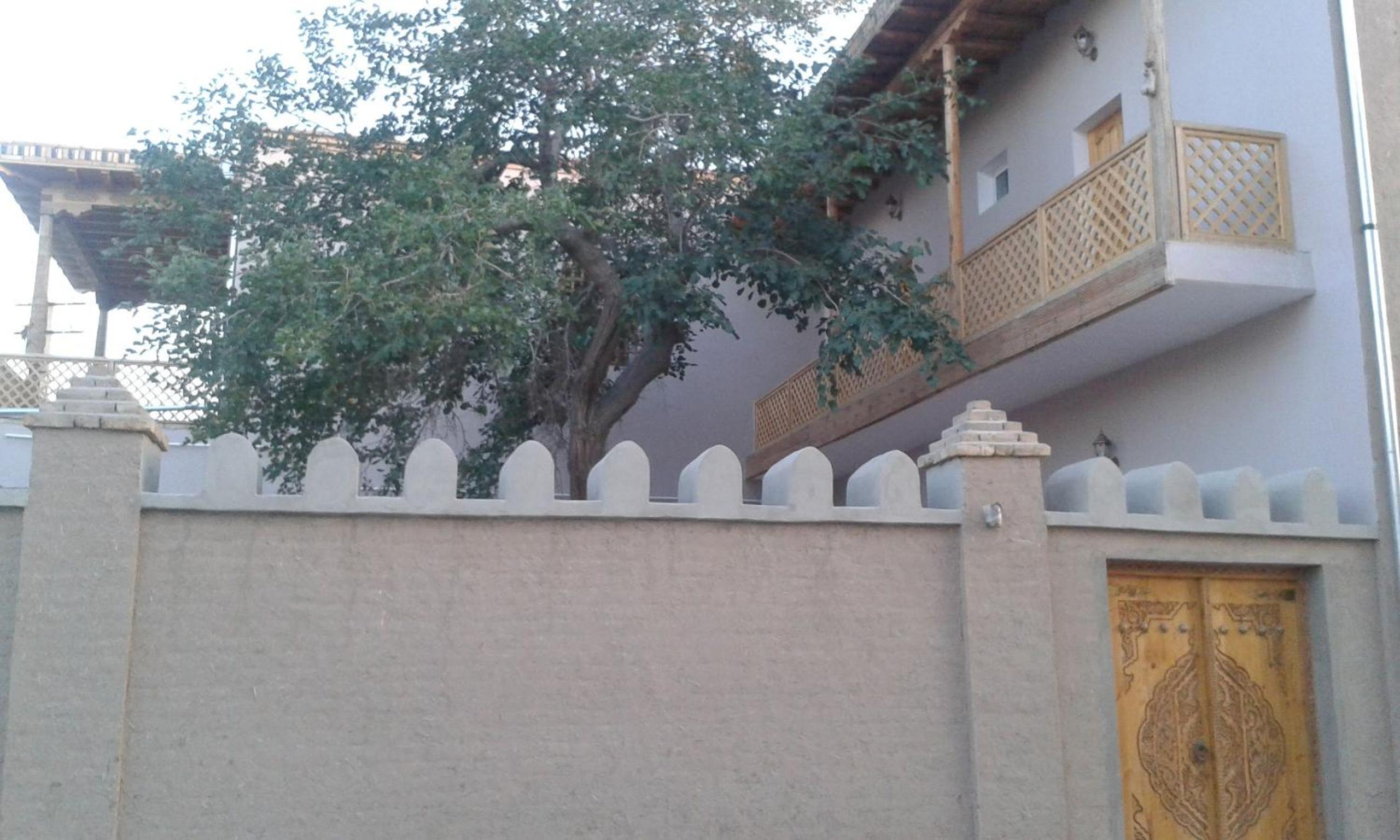 Photo 12