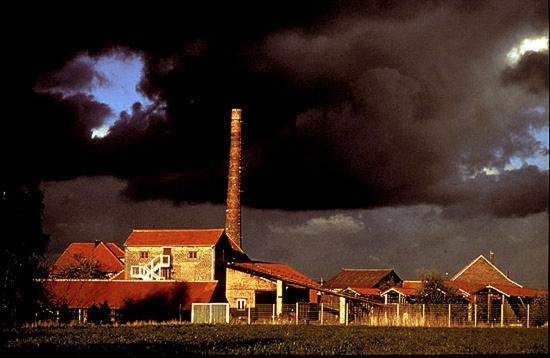 Photo 47