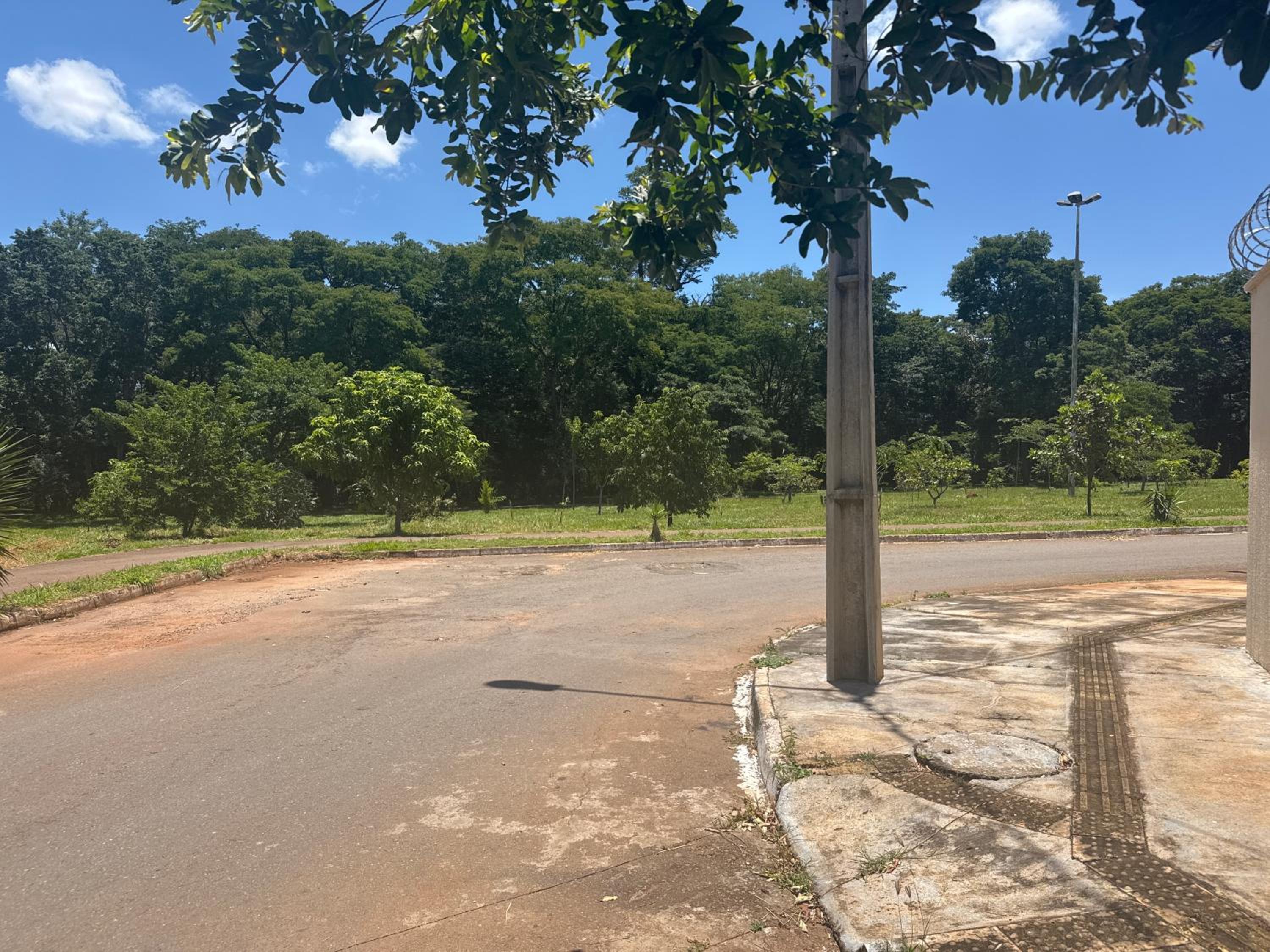 Felicidades compartilhadas