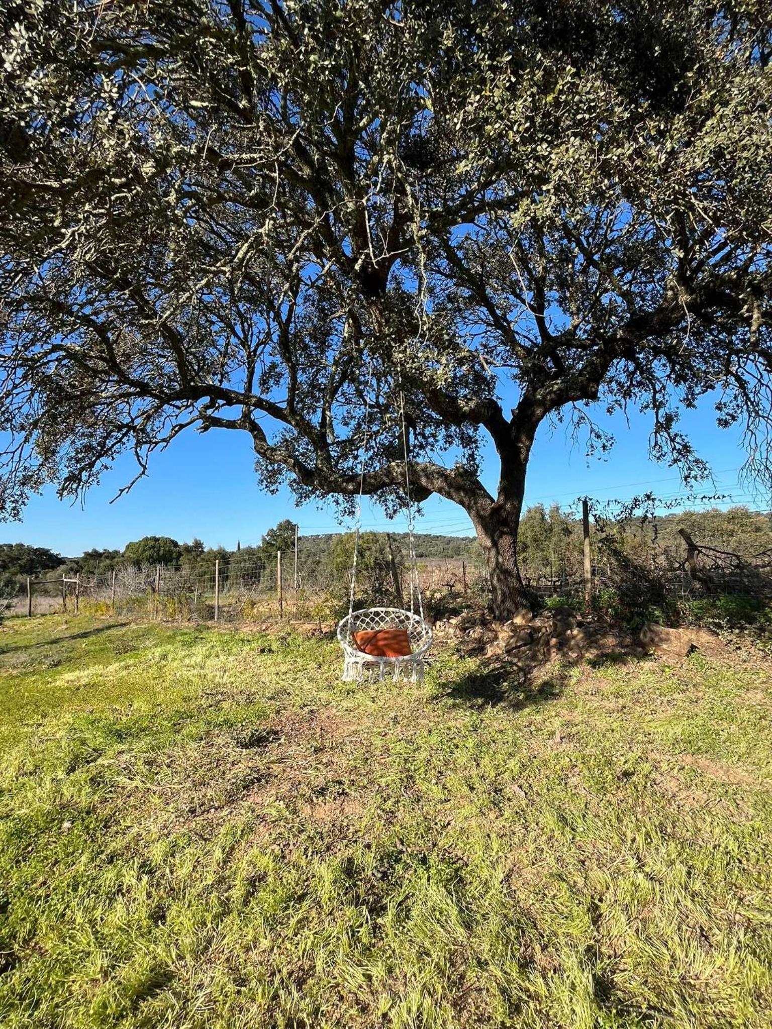 Monte da Lebrinha