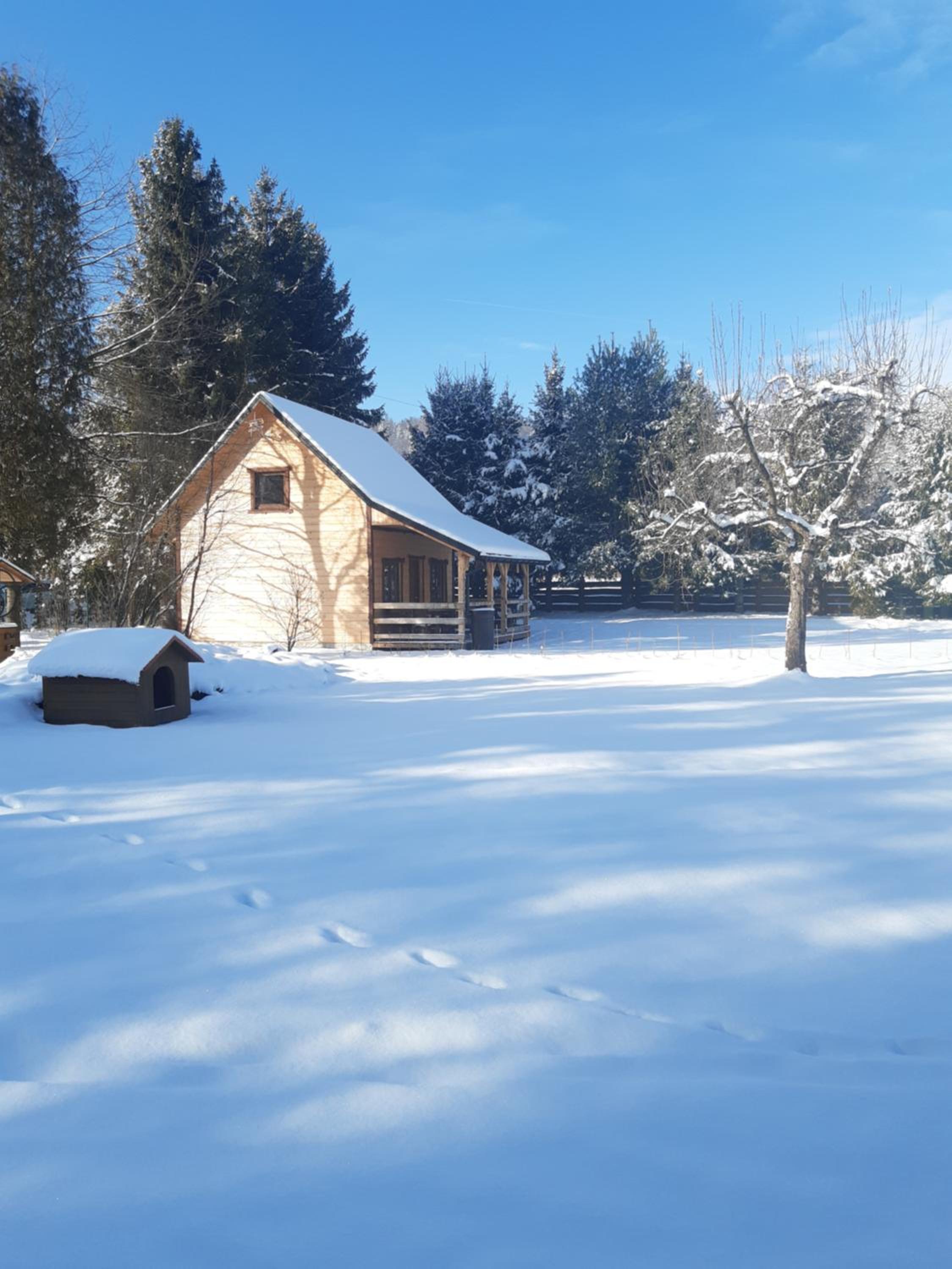 Domek na Pętli