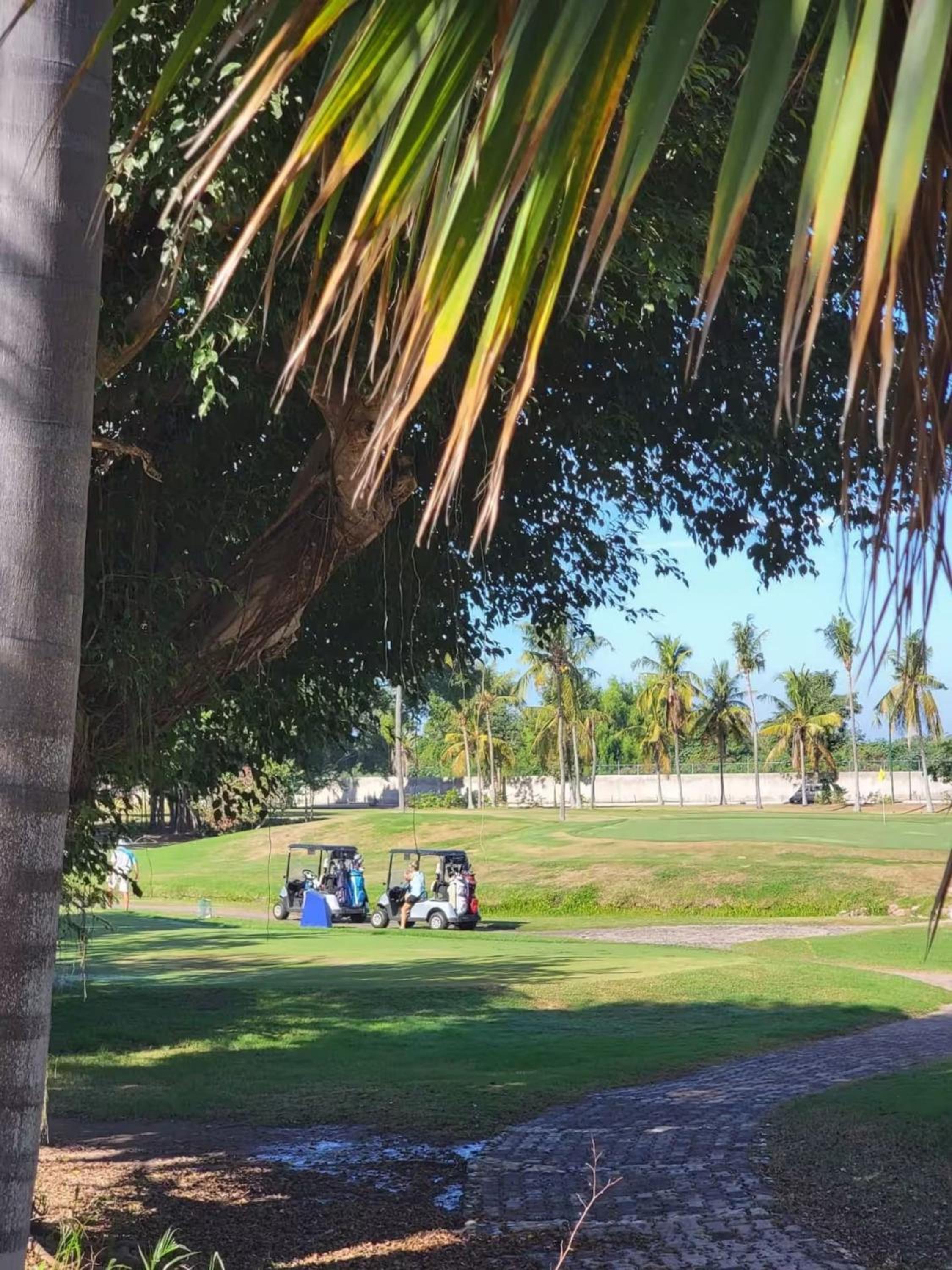 Marina Vallarta Golf and Pool