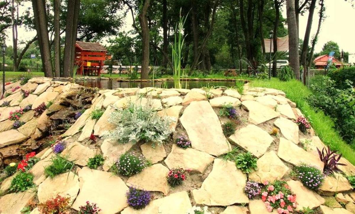 garden