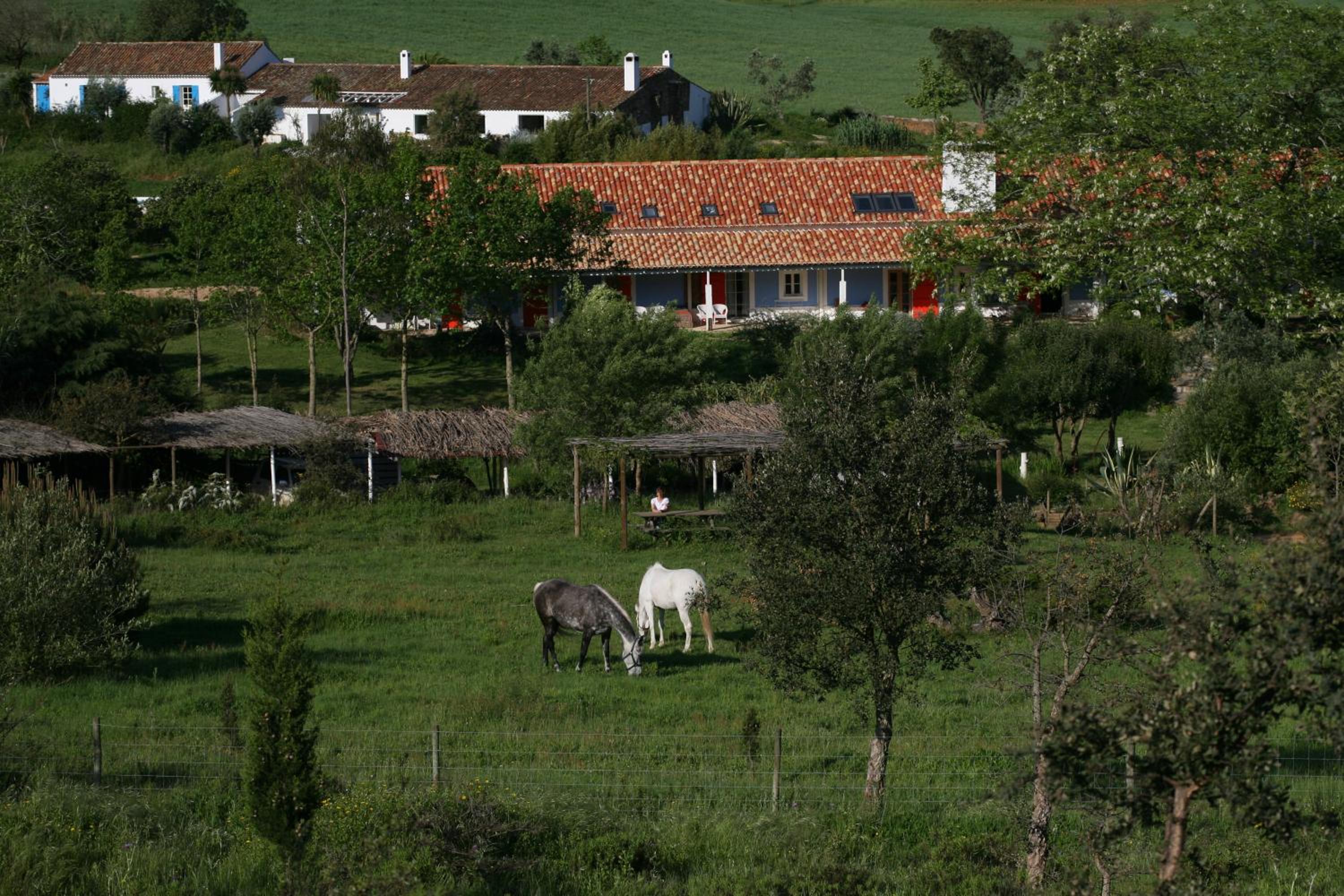 Herdade da Matinha Country House & Restaurant
