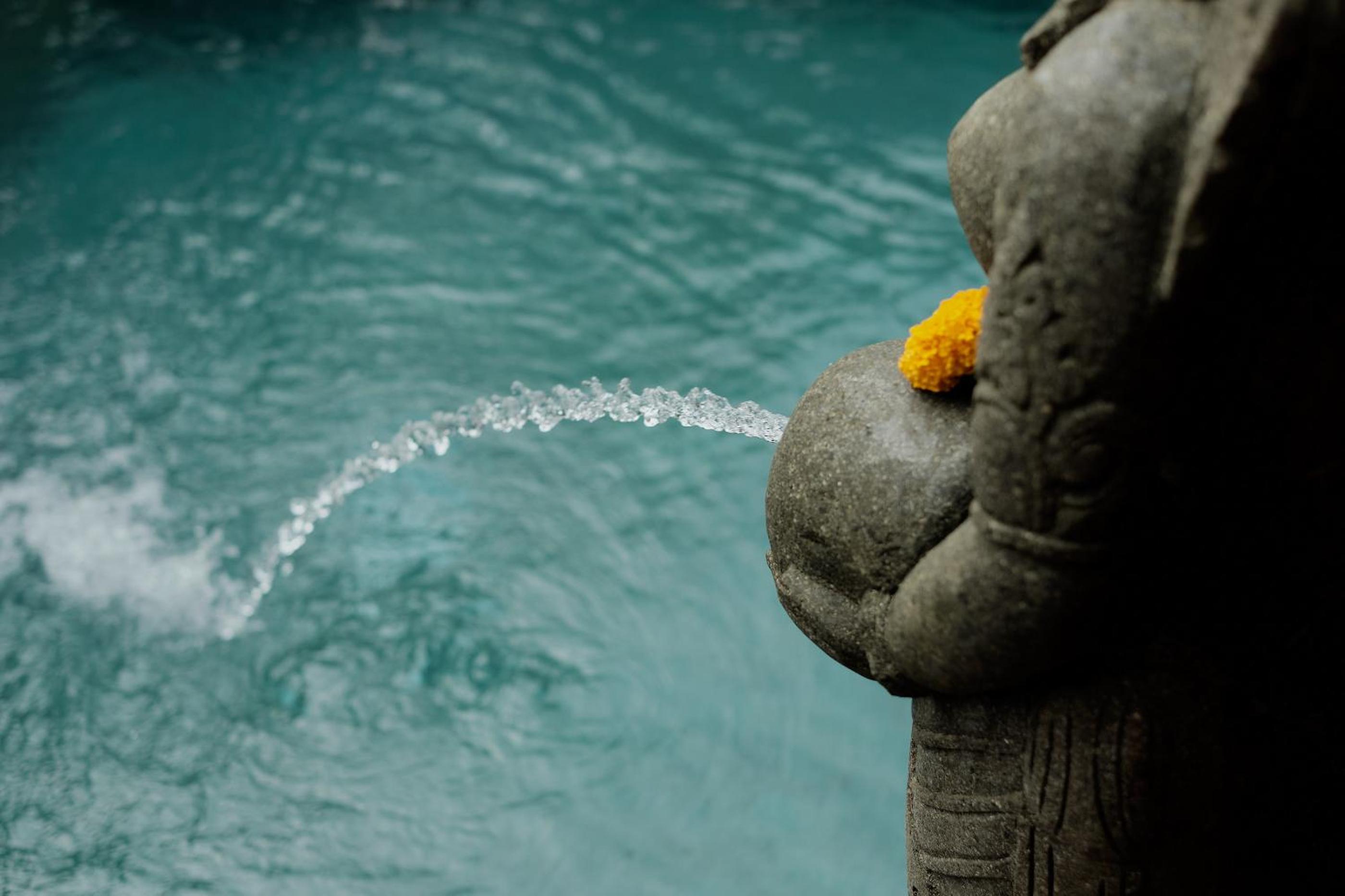 Kappat Ubud Villa
