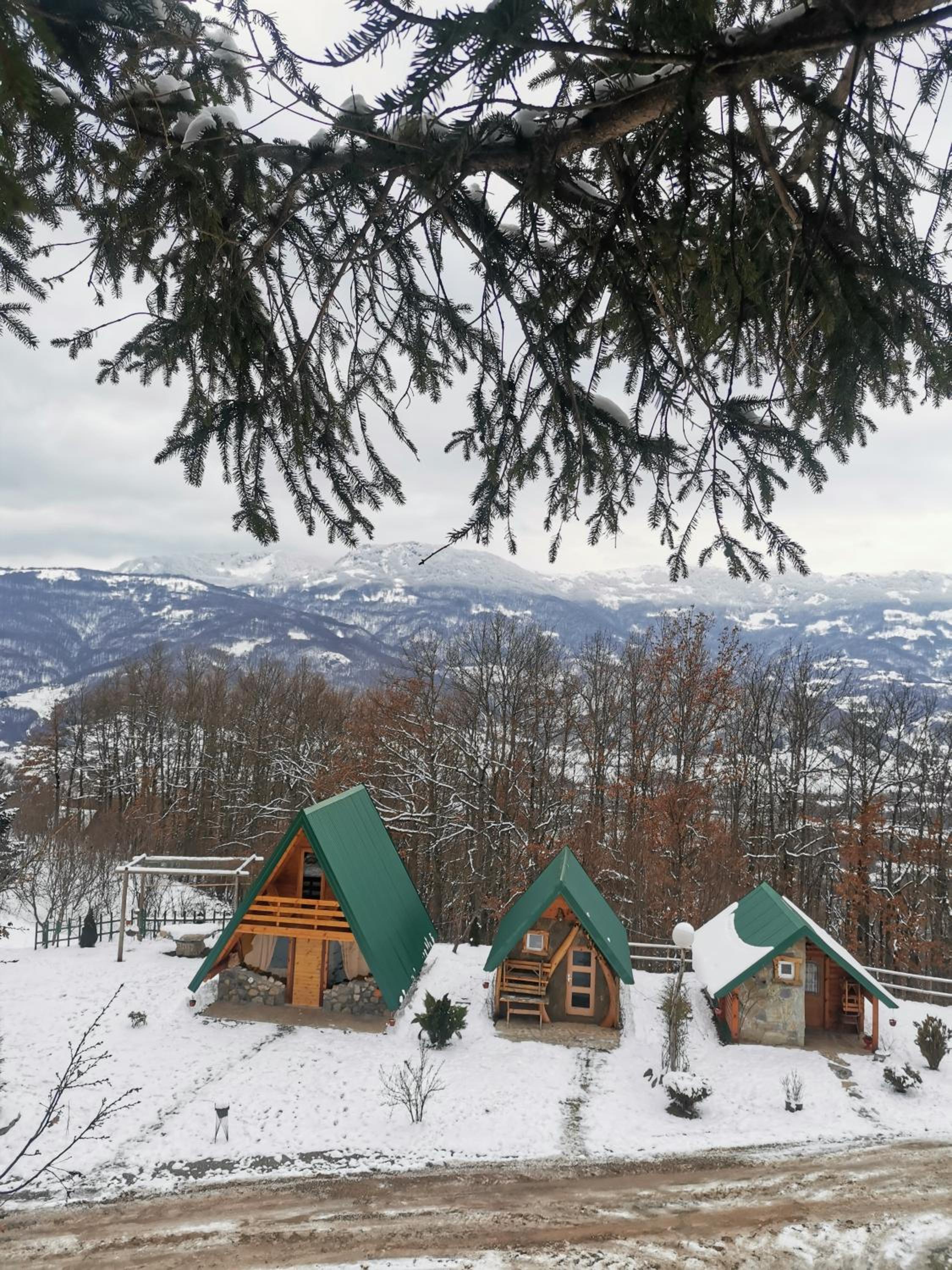 Gazela Bungalov 1, photo 25