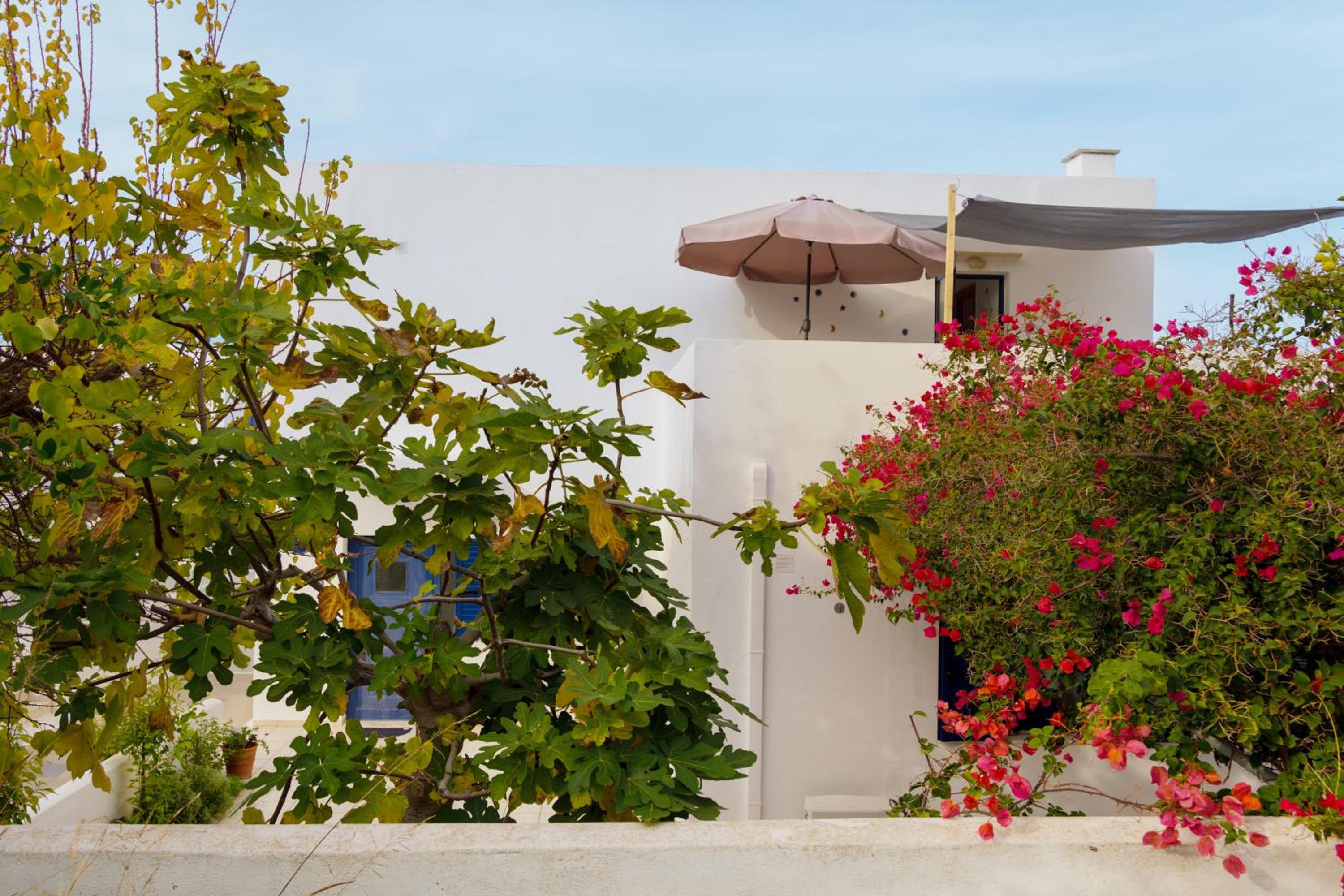 Villa Lira The Hidden Gem Above the Sea