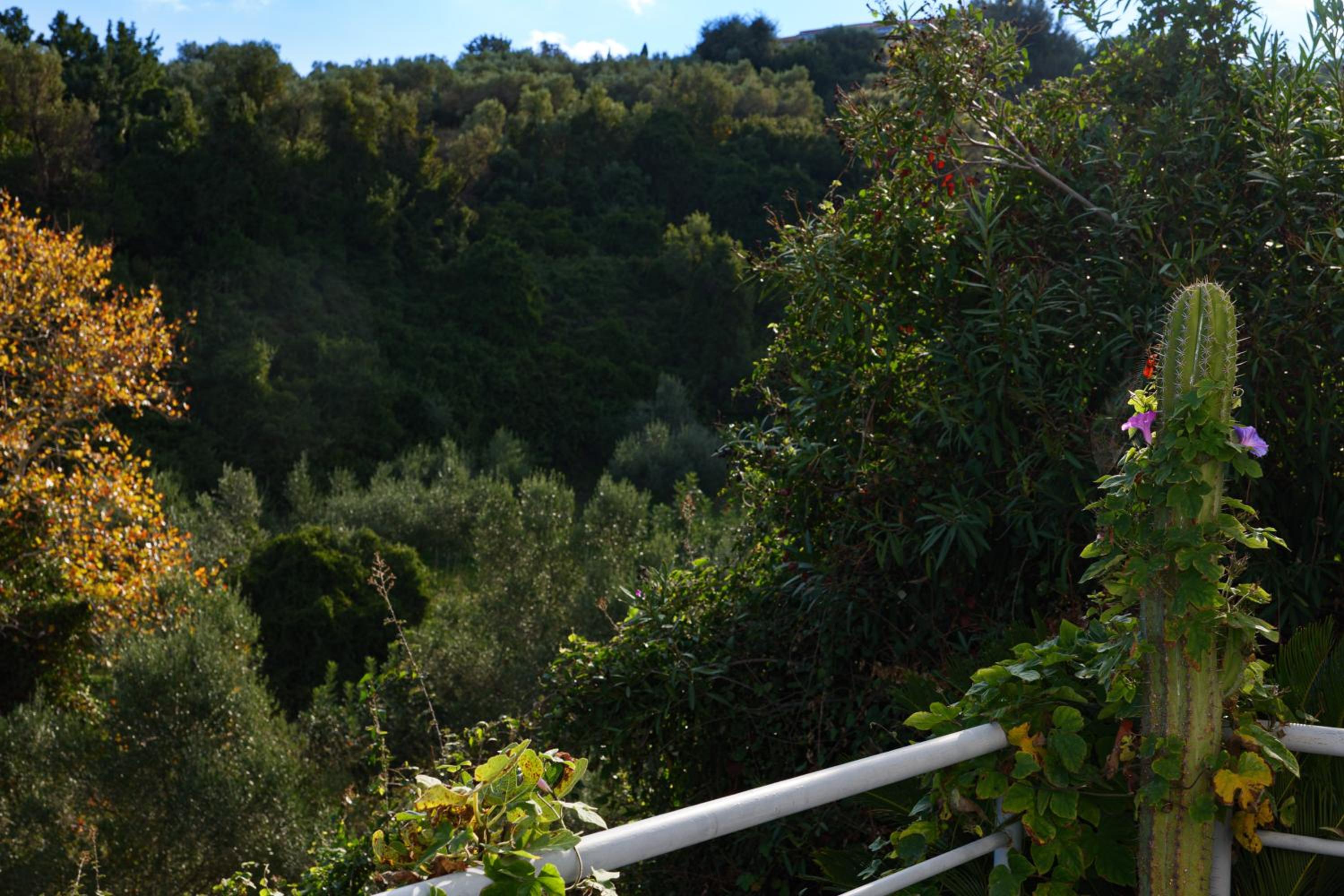 Villa Lira The Hidden Gem Above the Sea