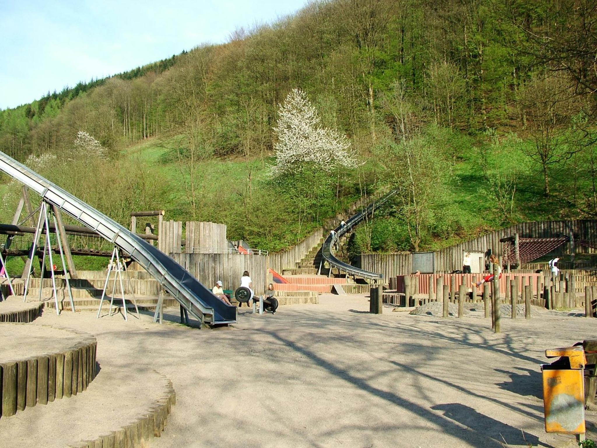 Photo 7