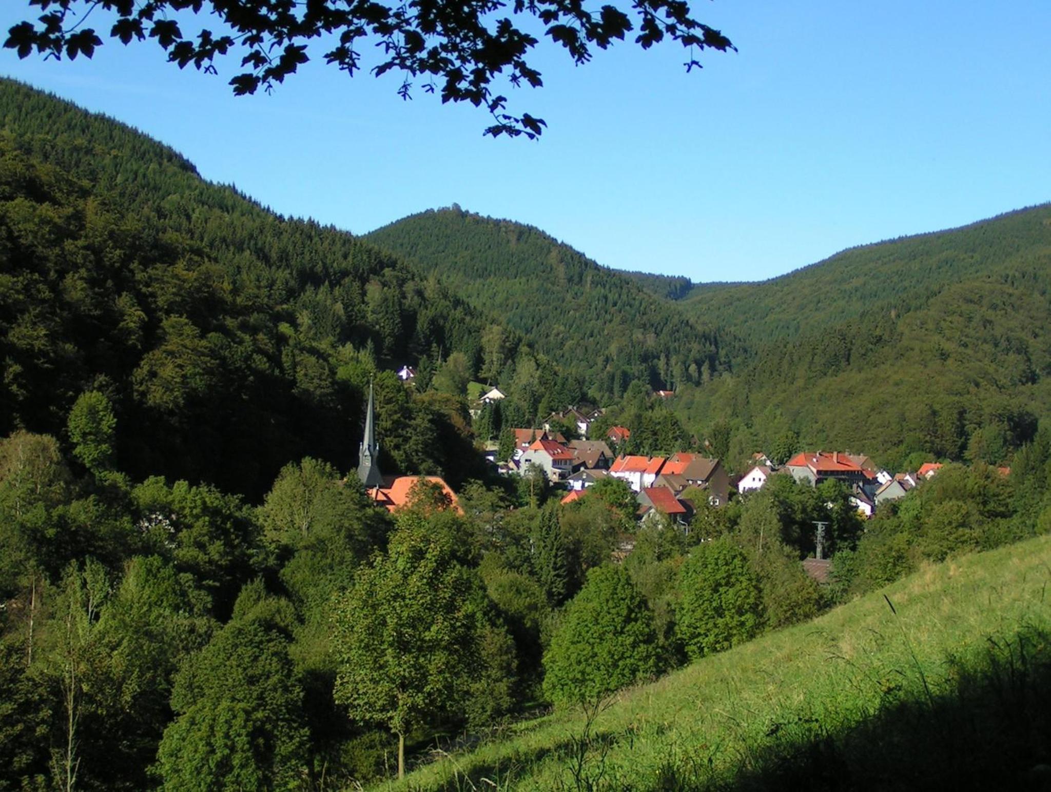 Harz hotel Iris view 5