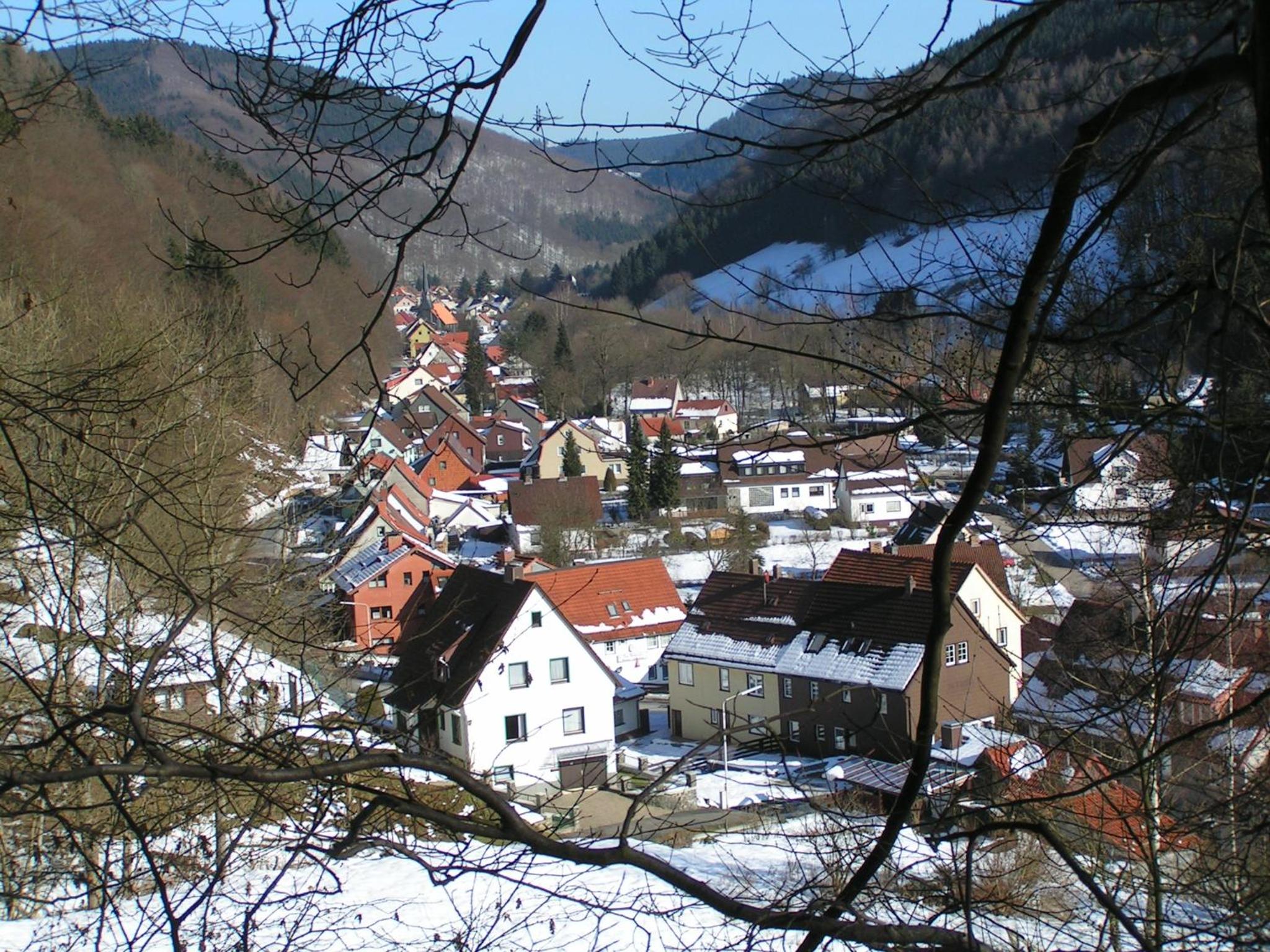 Harz hotel Iris view 4