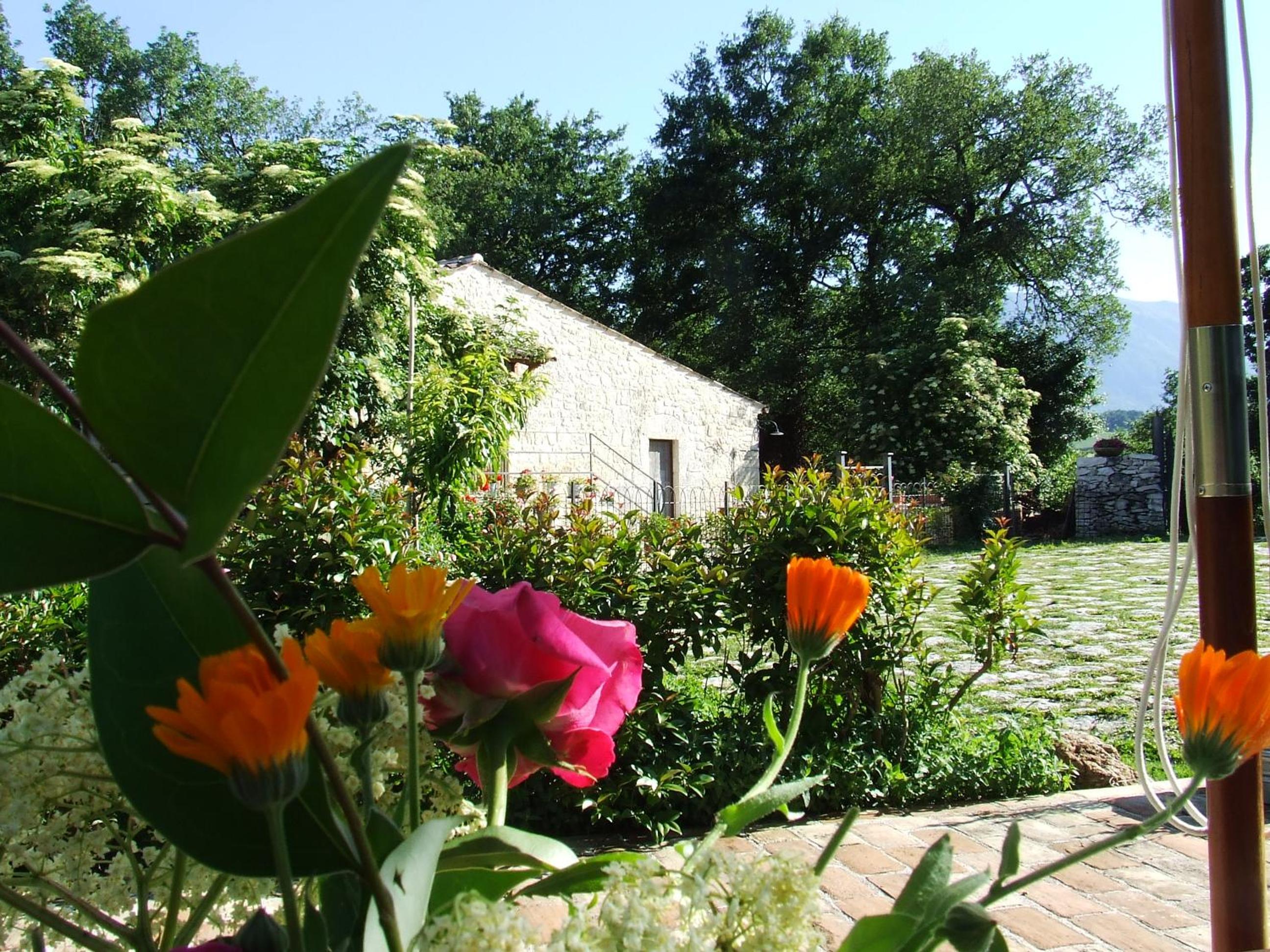 Photo 45