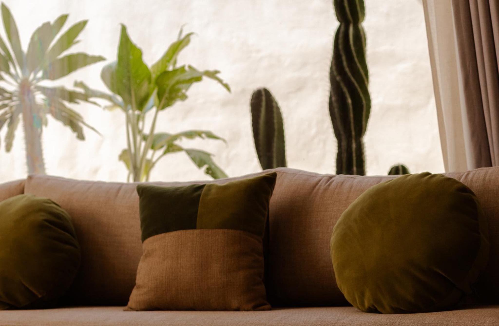 Casa Cactus Luxury Villa