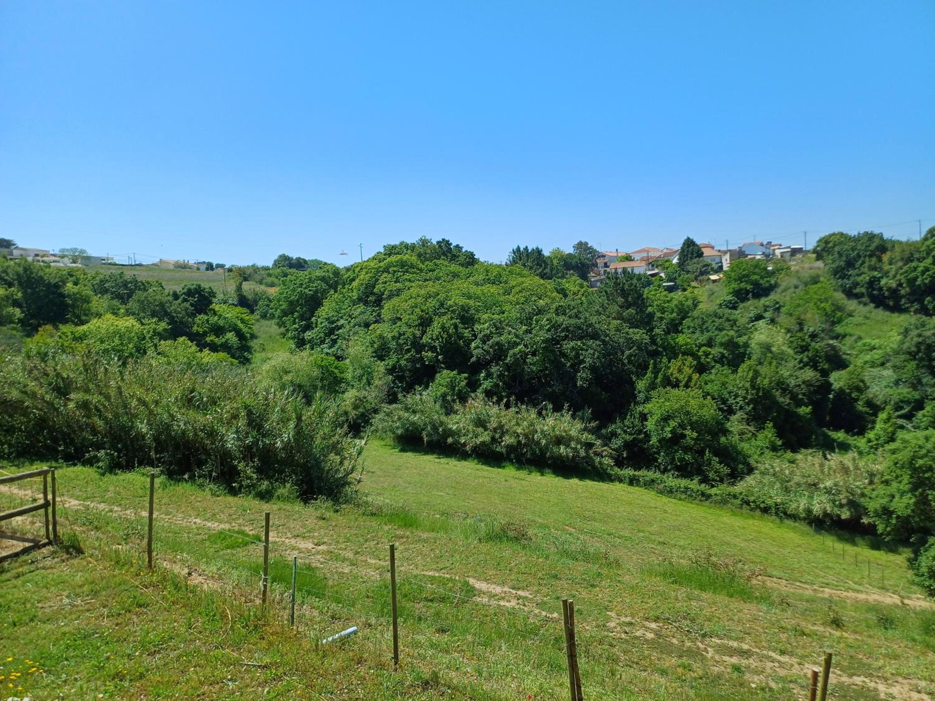 Quinta da pêra rocha