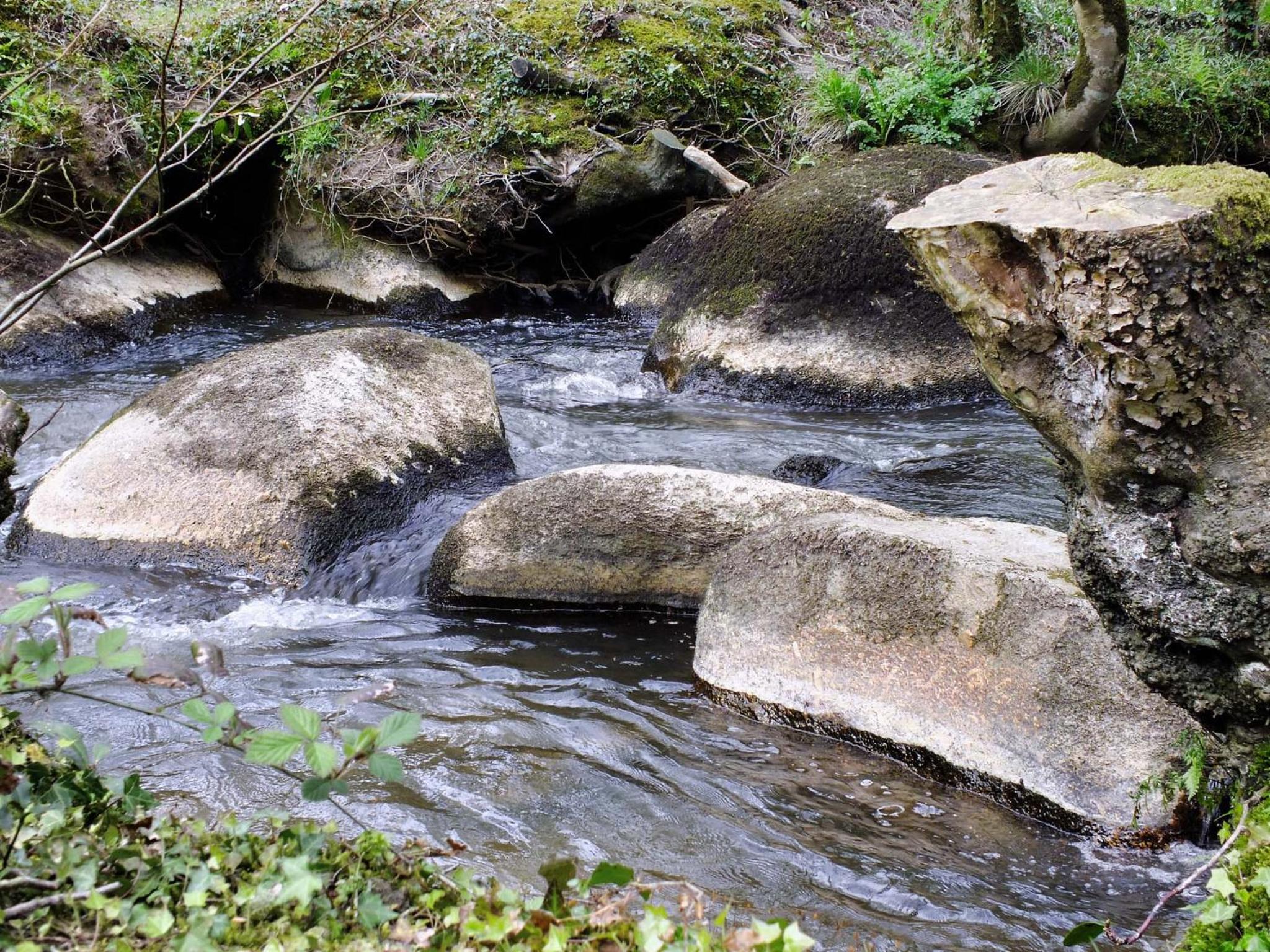 Photo 22