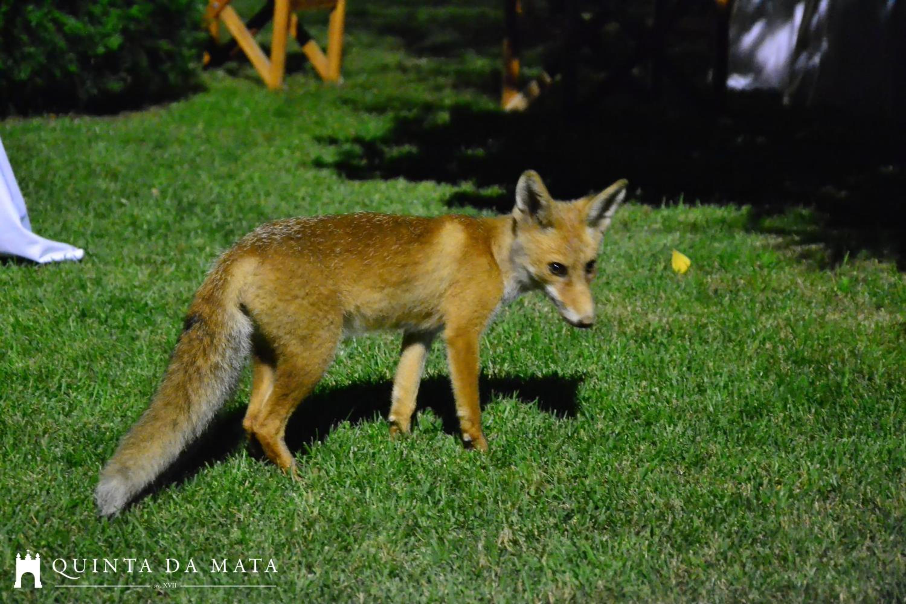 Photo 106