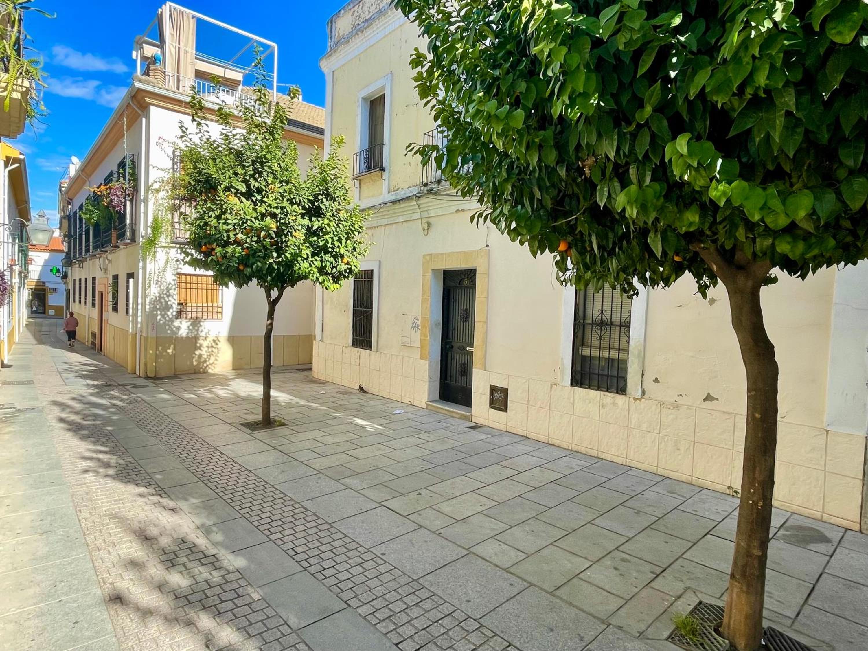 Córdoba Tinte Suites