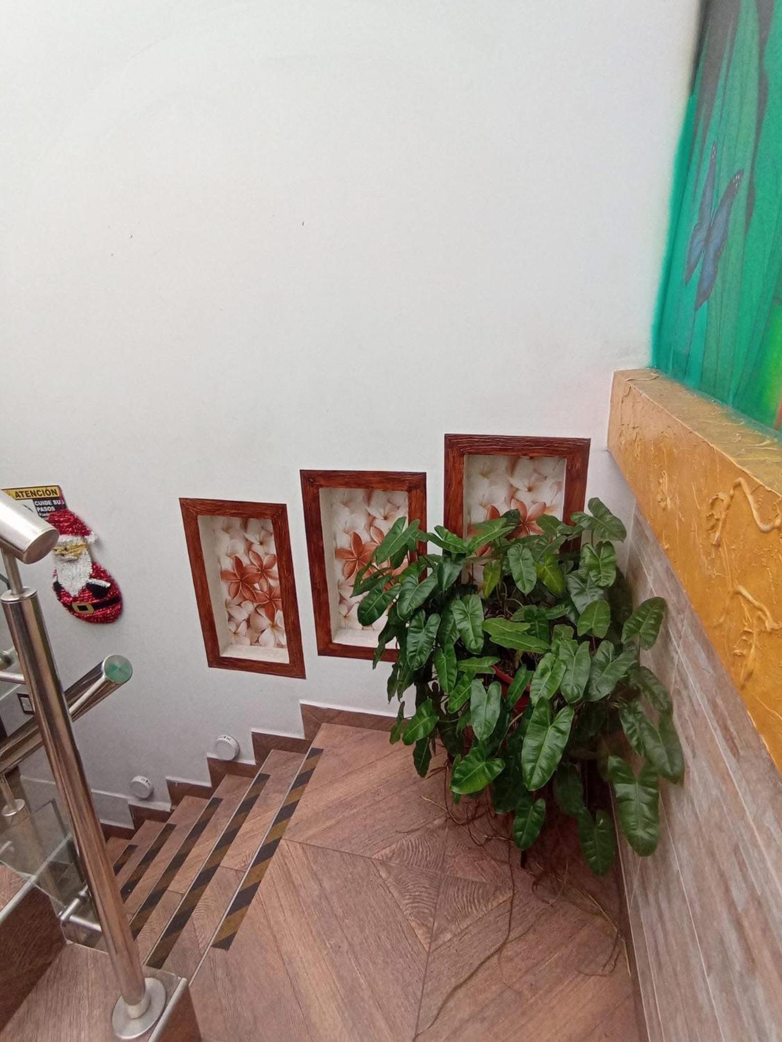 Hotel Inmaculada Real, photo 2