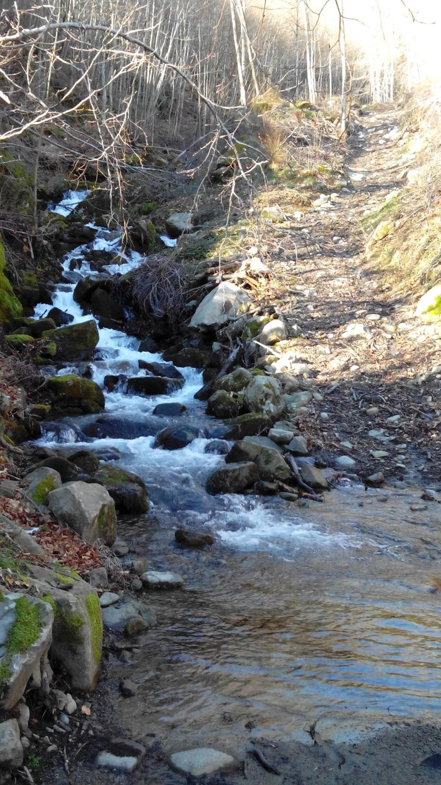 Photo 32