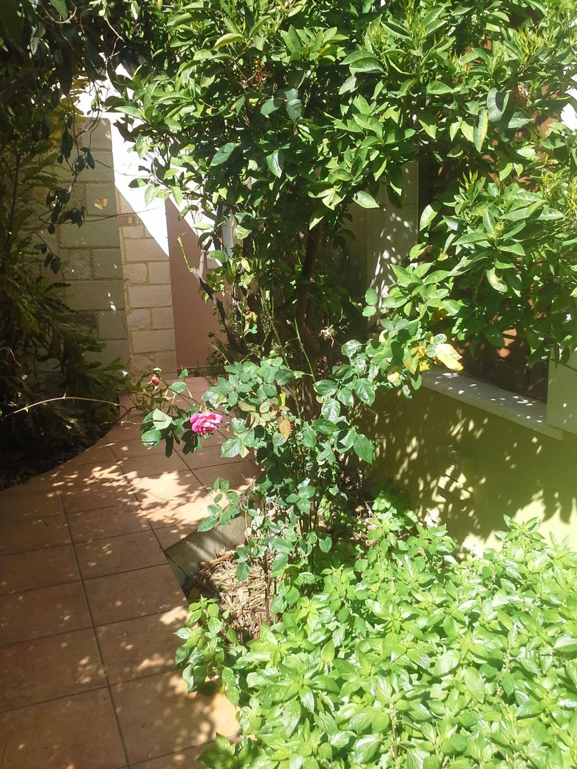 Photo 36