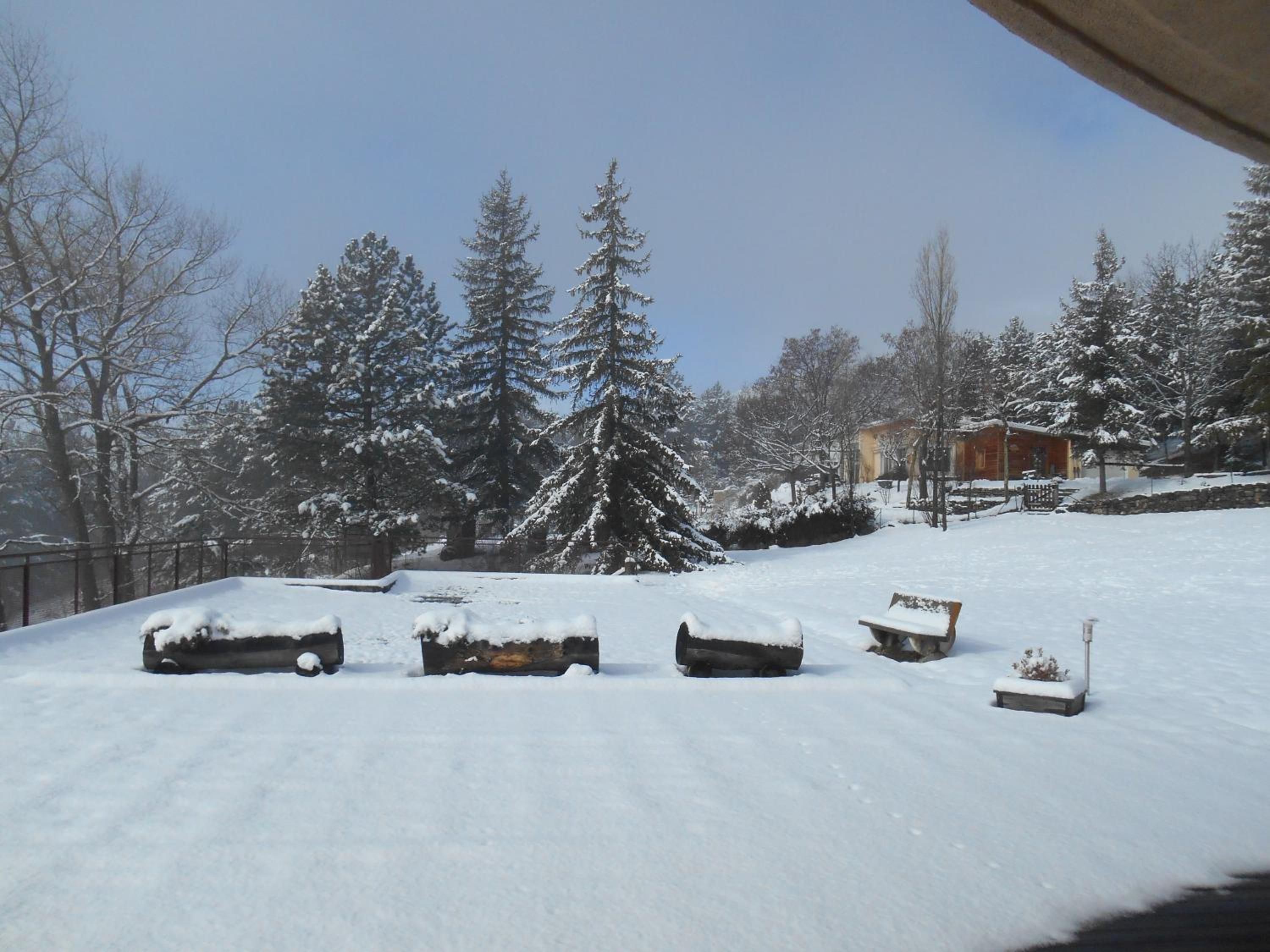 Photo 6