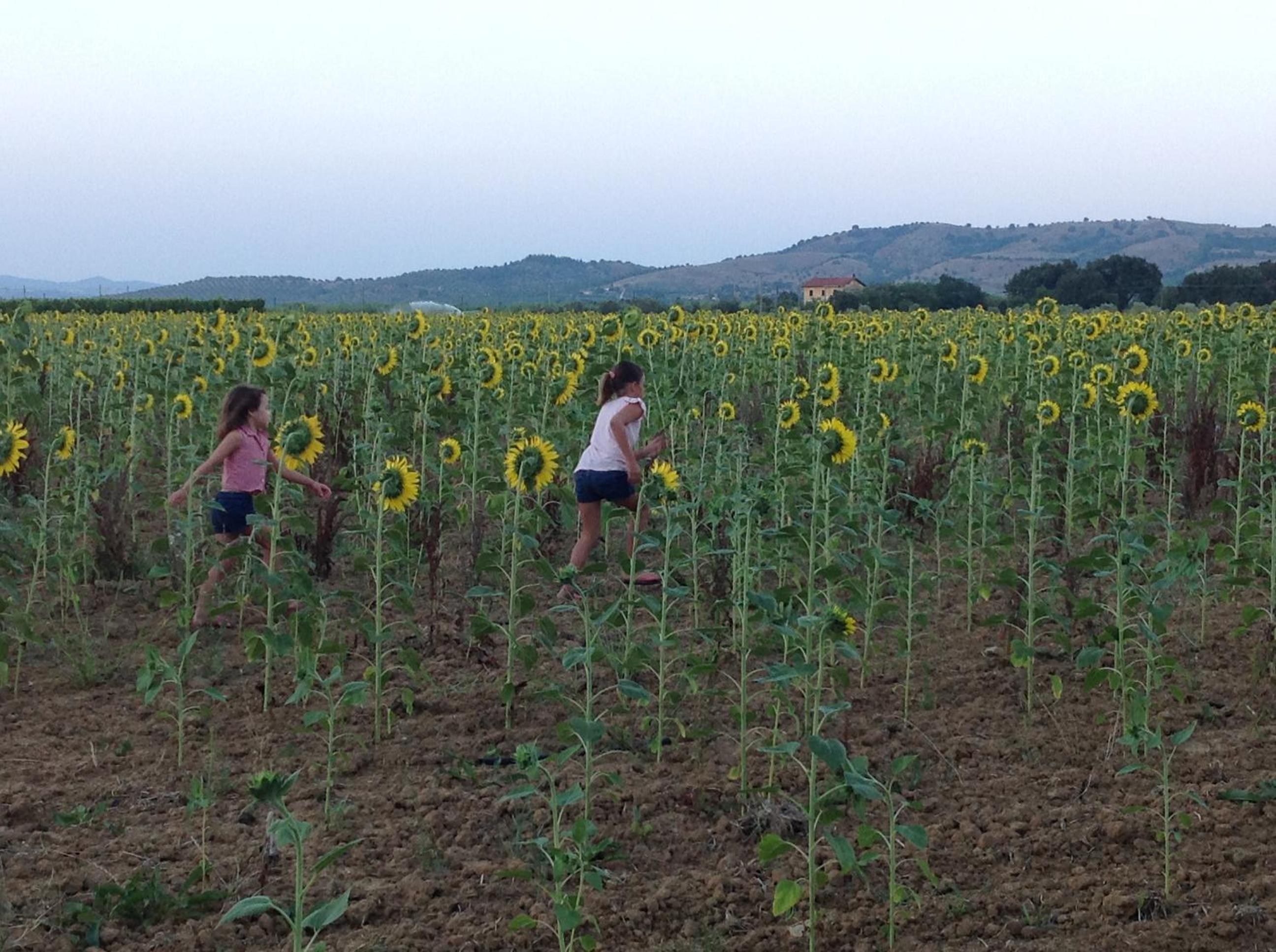 Agriturismo Podere Cirene