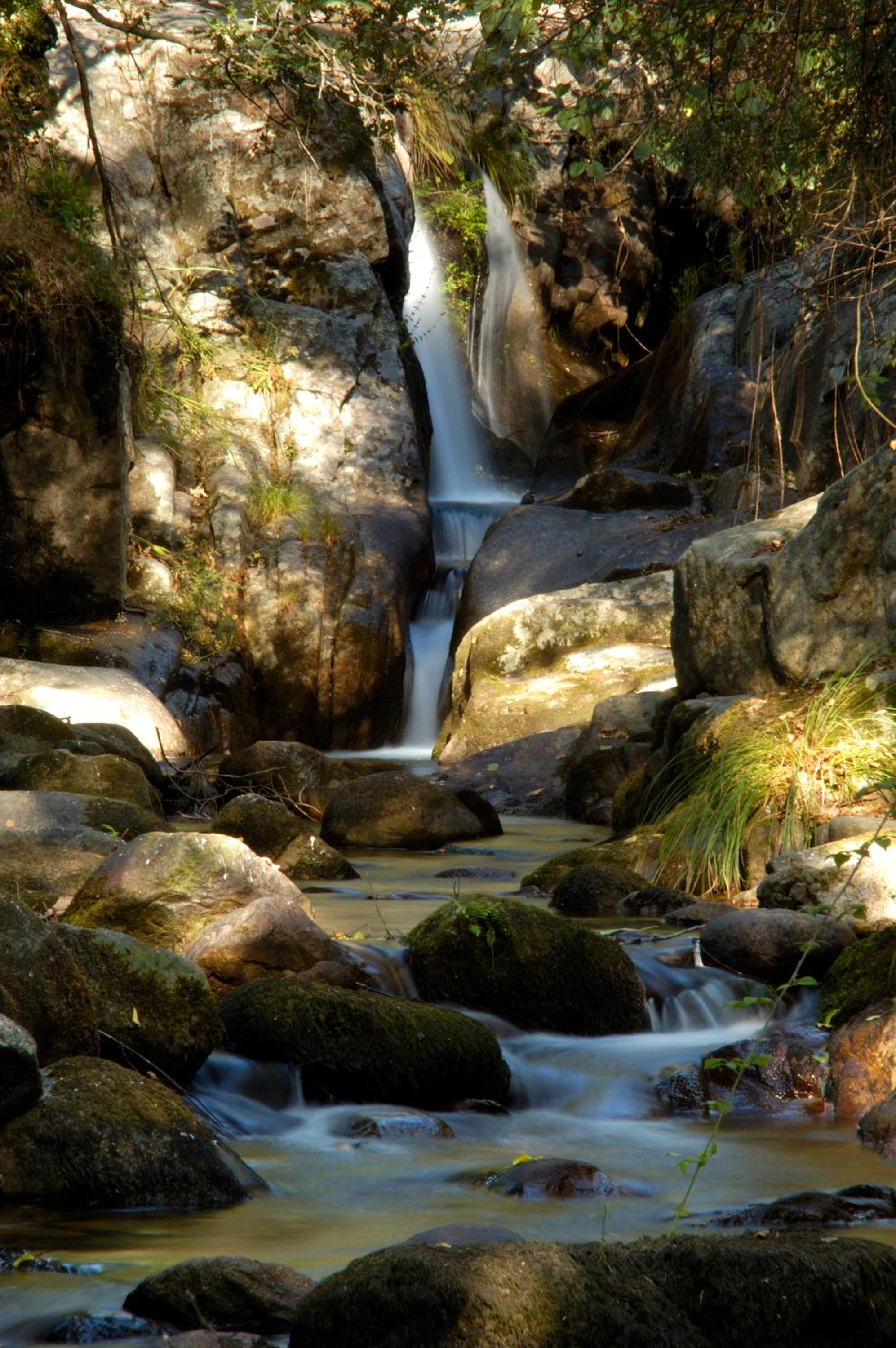 Photo 42