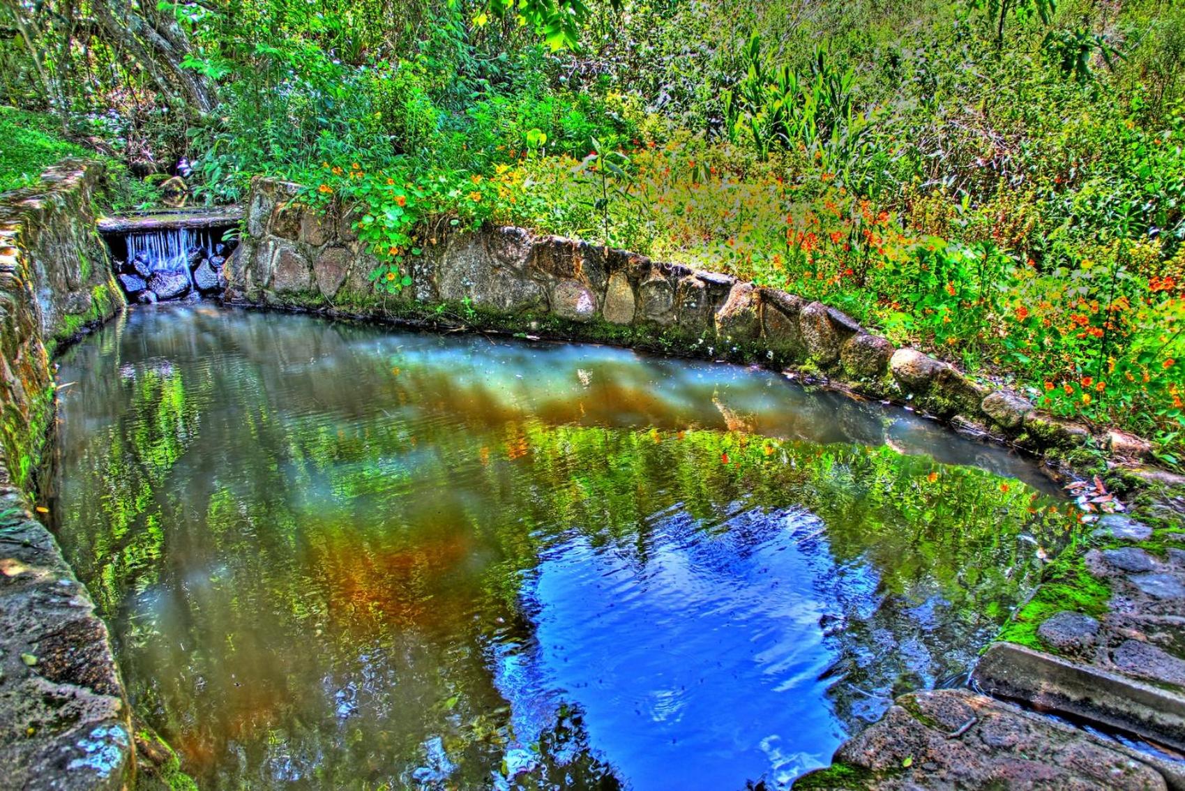 Photo 45