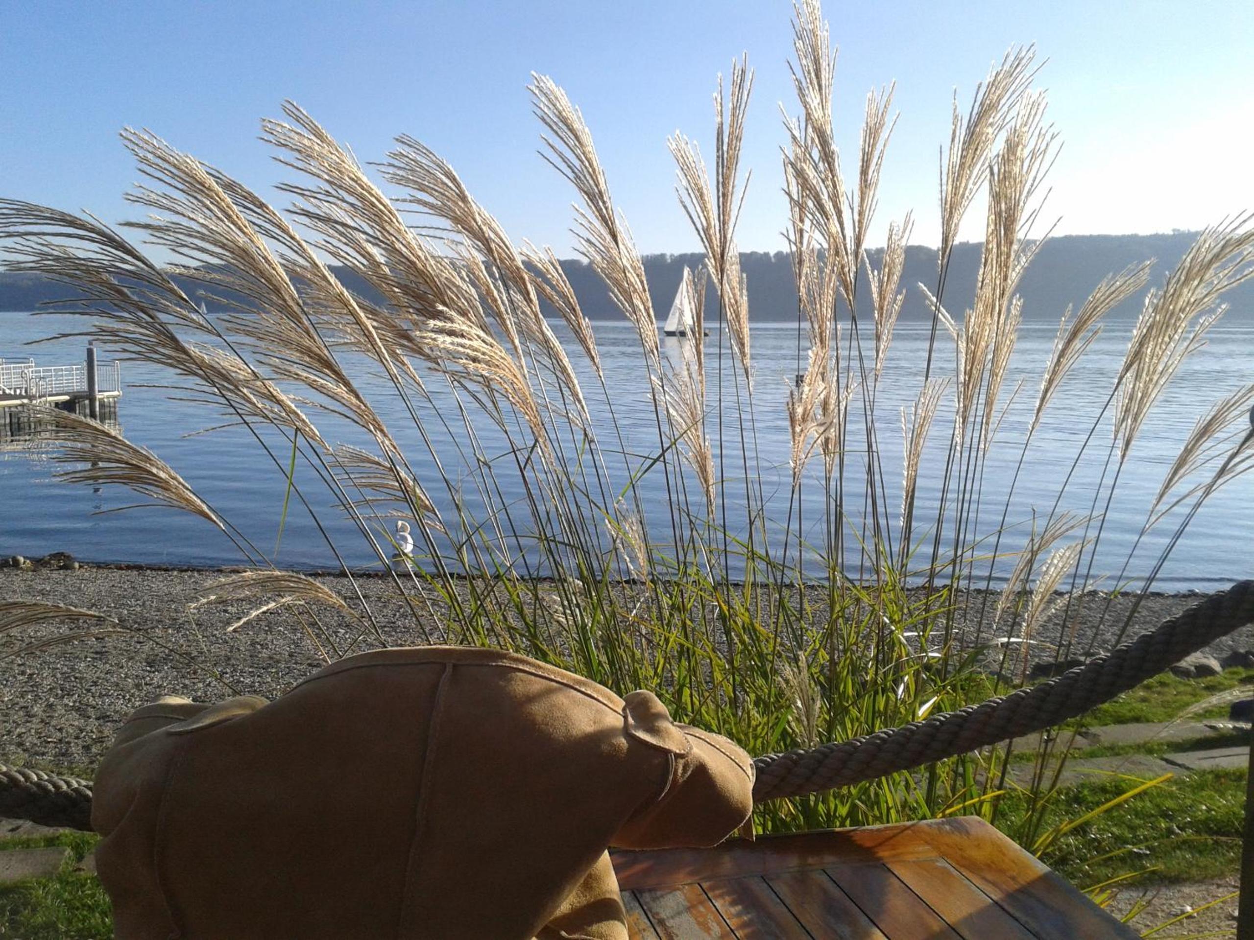 Reni's Oase am Bodensee